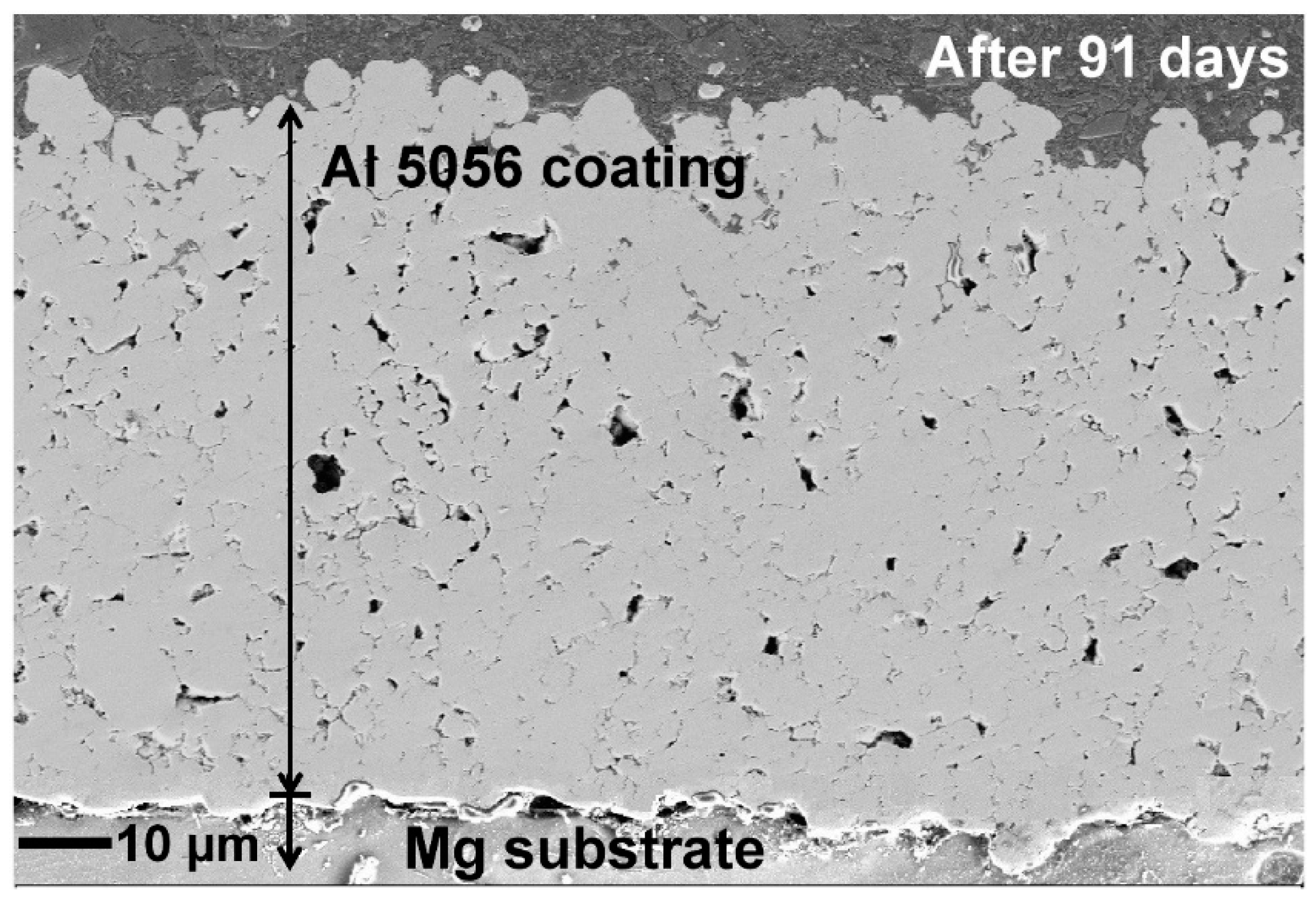Coatings 10 00325 g010 Coatings 10 00325 g010