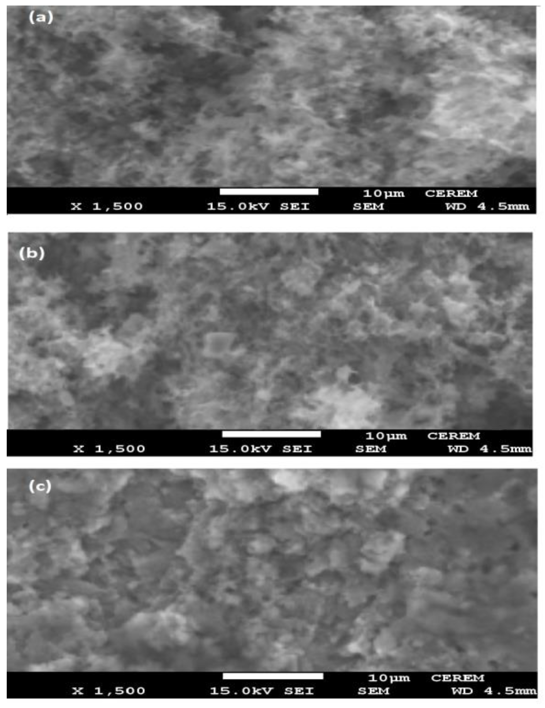 Coatings 10 00327 g007 Coatings 10 00327 g007