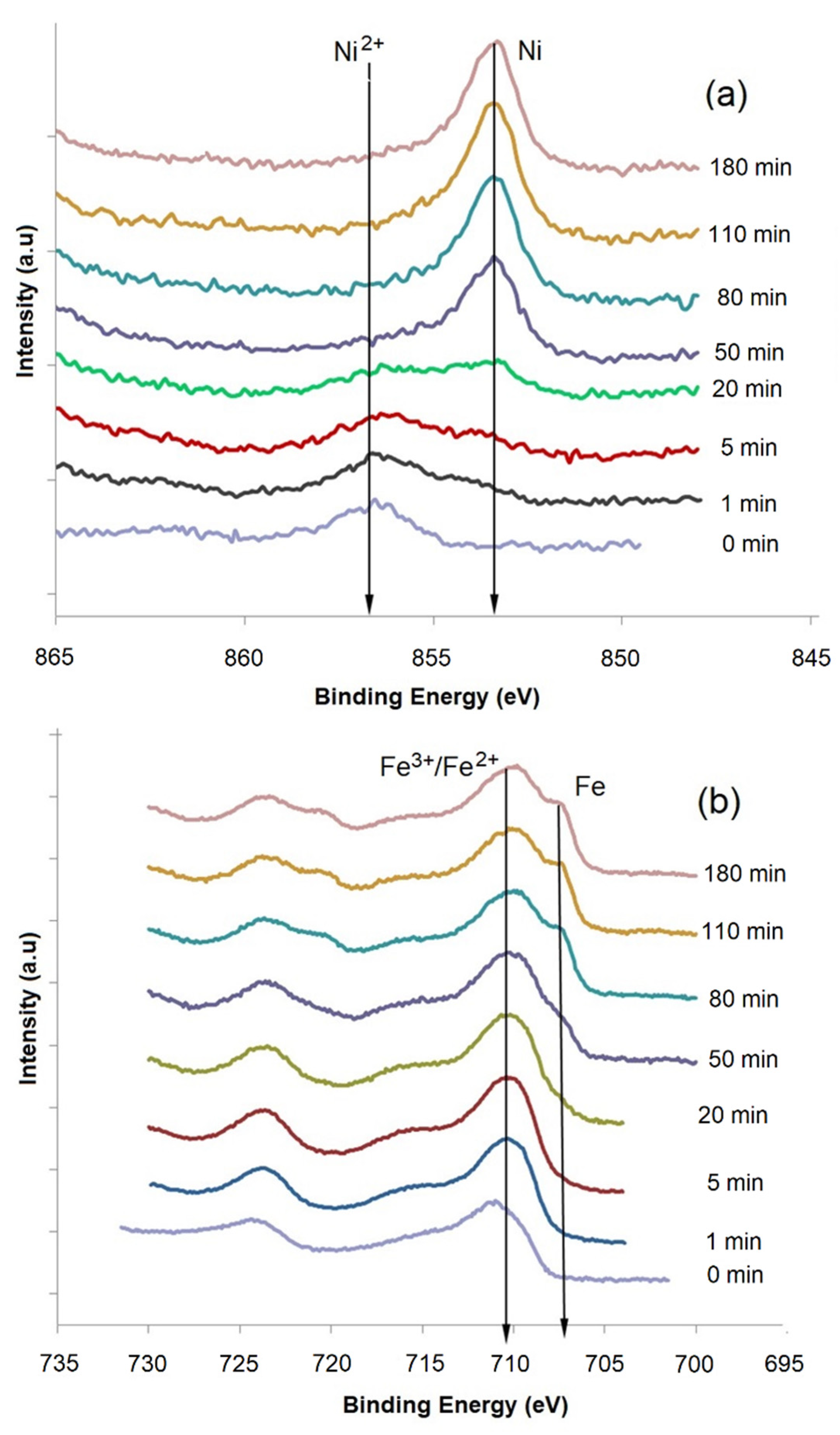 Coatings 10 00328 g005