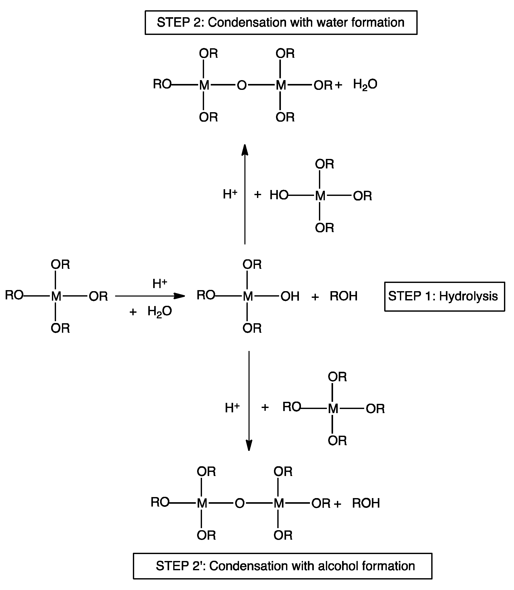 Coatings 10 00333 g002