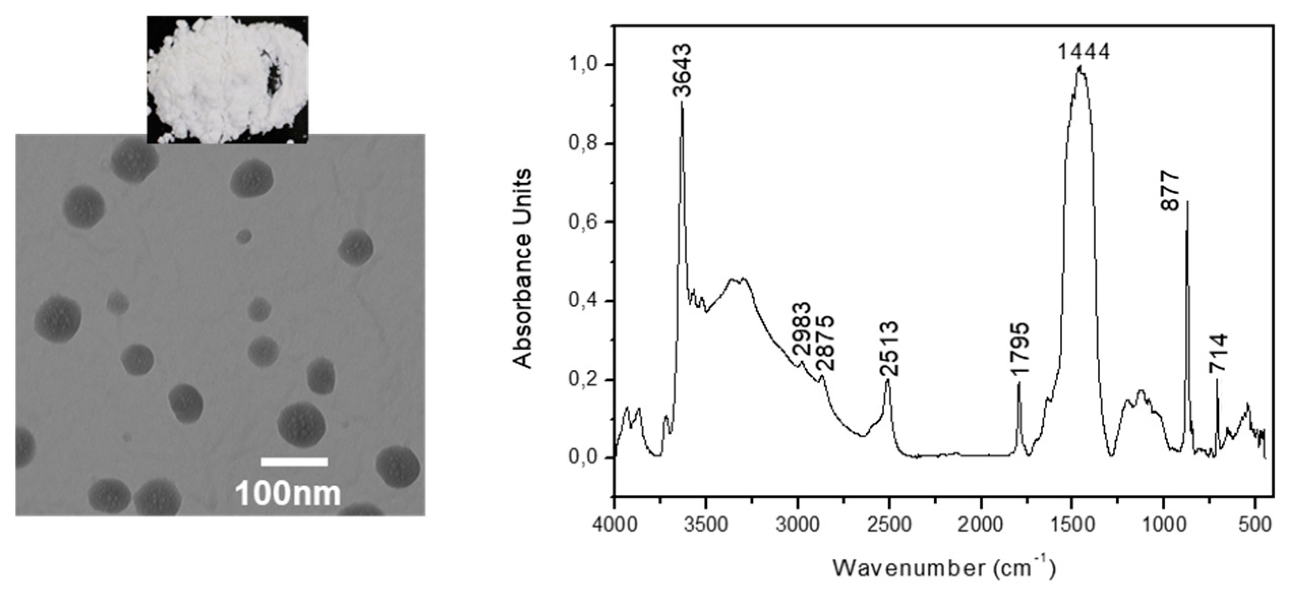 Coatings 10 00334 g001 Coatings 10 00334 g001