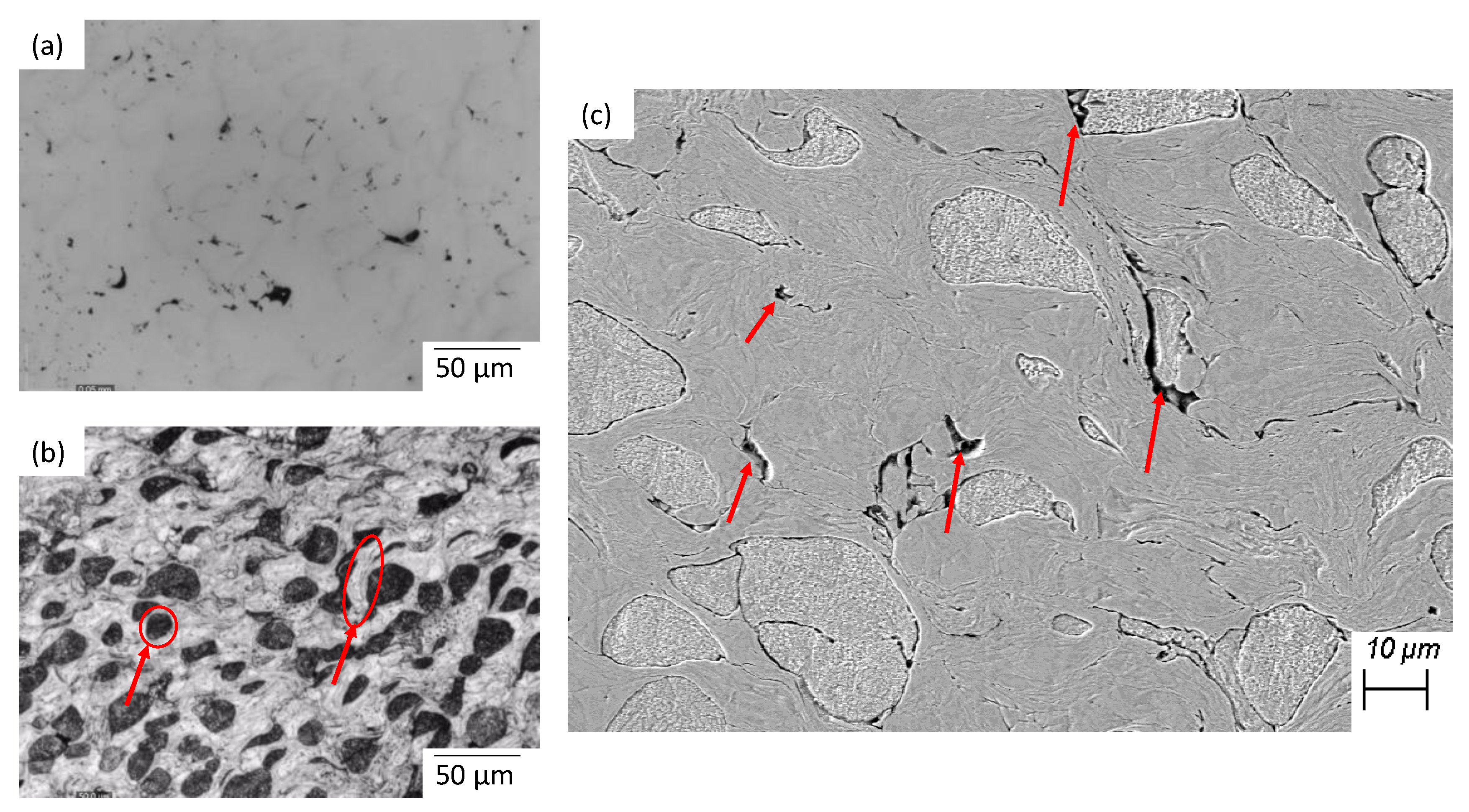 Coatings Free Full Text Modeling Of Erosion Response Of Cold Sprayed In718 Ni Composite Coating Using Full Factorial Design Html