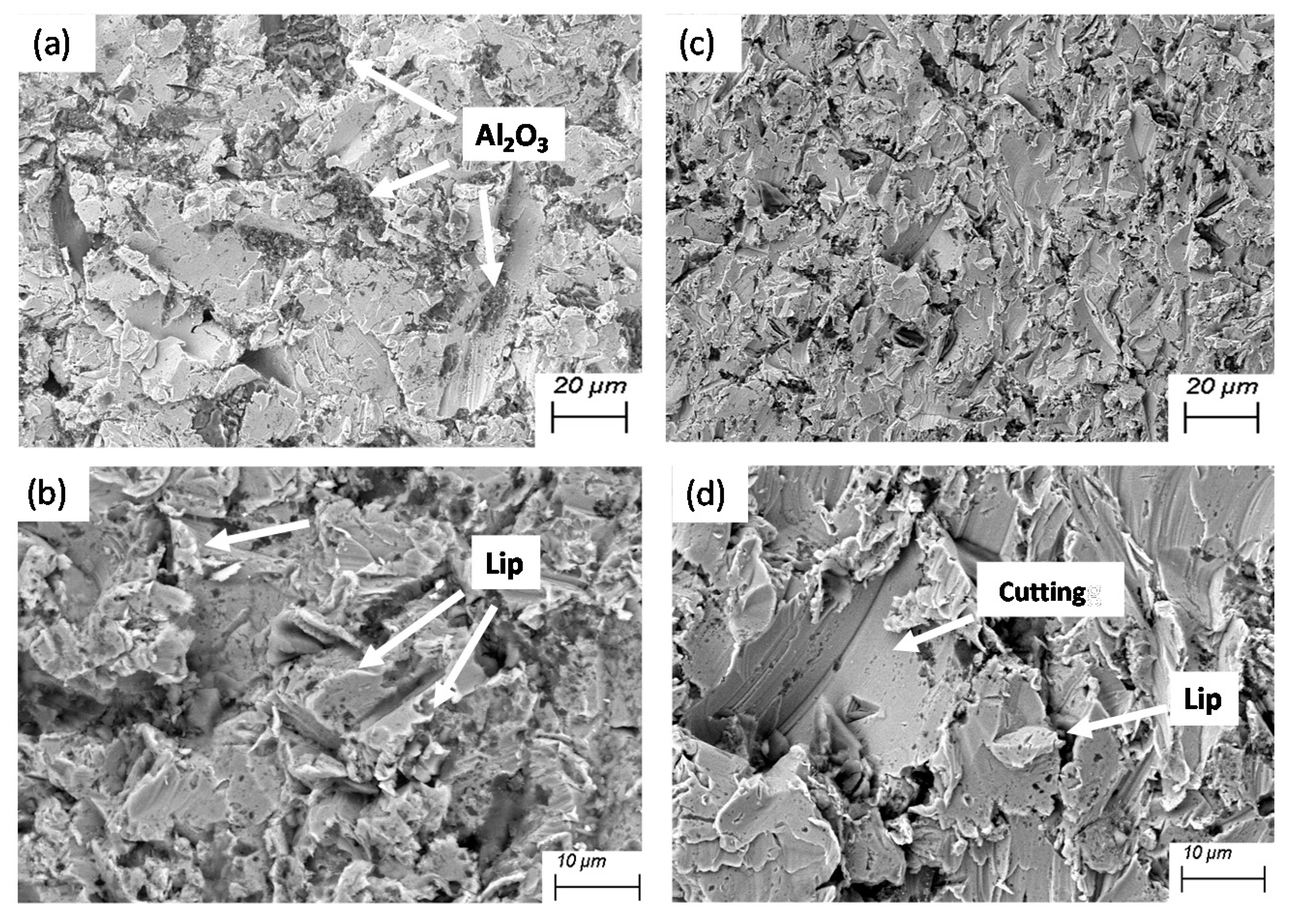 Coatings 10 00335 g008