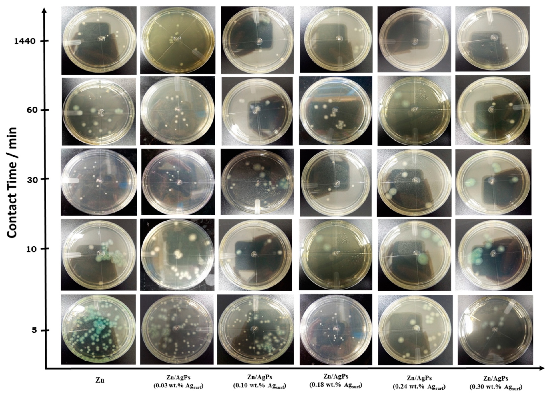 Coatings 10 00337 g004