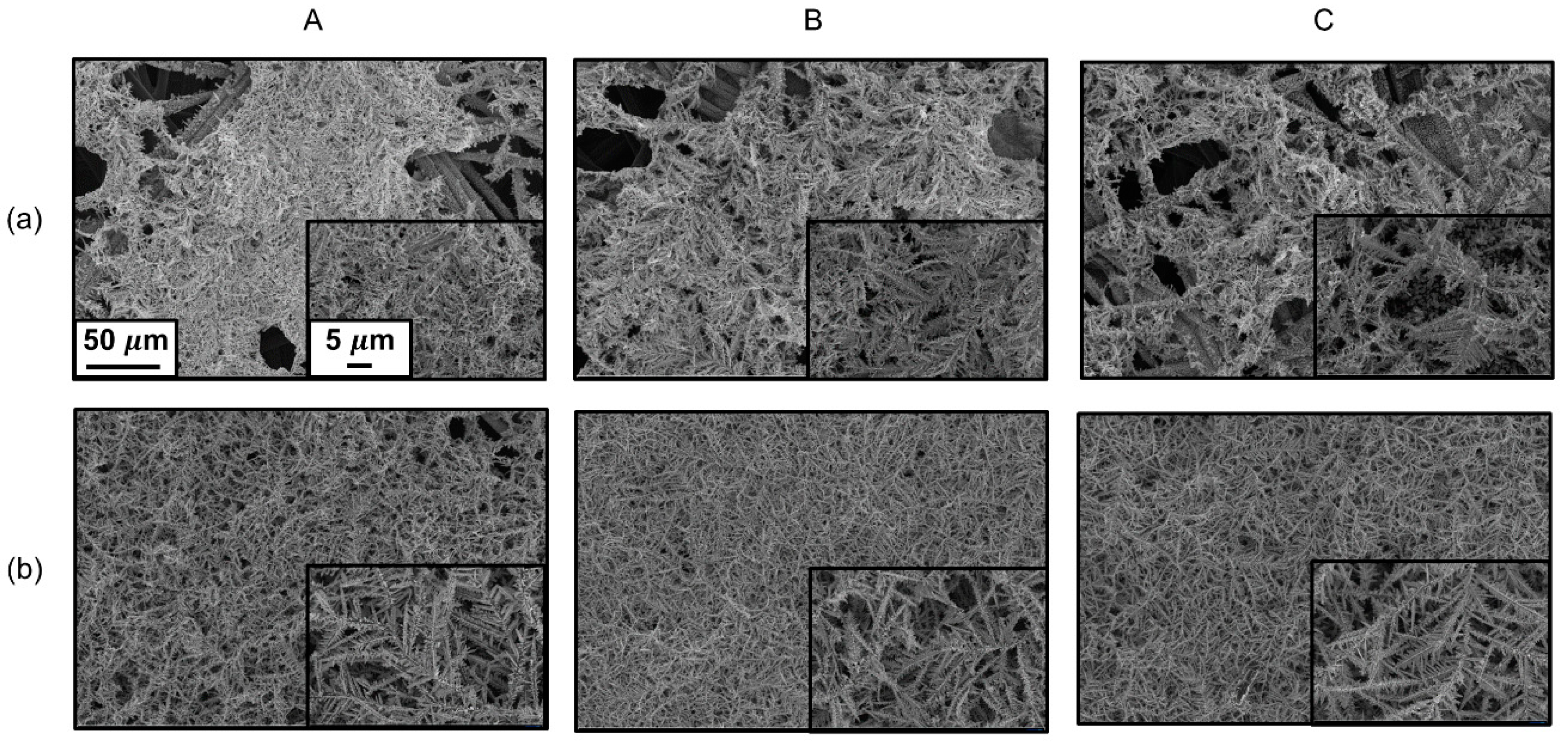 Coatings 10 00341 g002