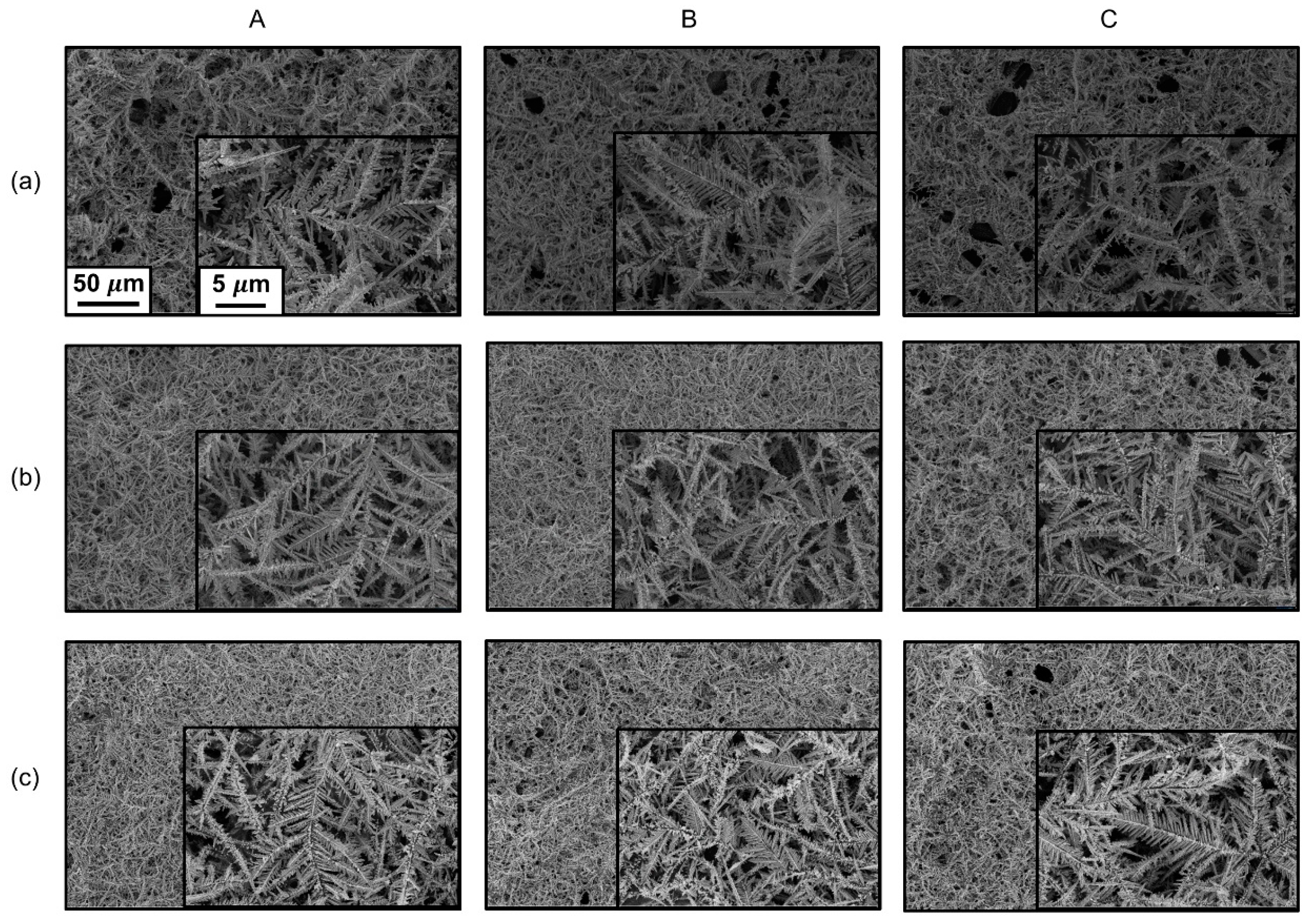 Coatings 10 00341 g004