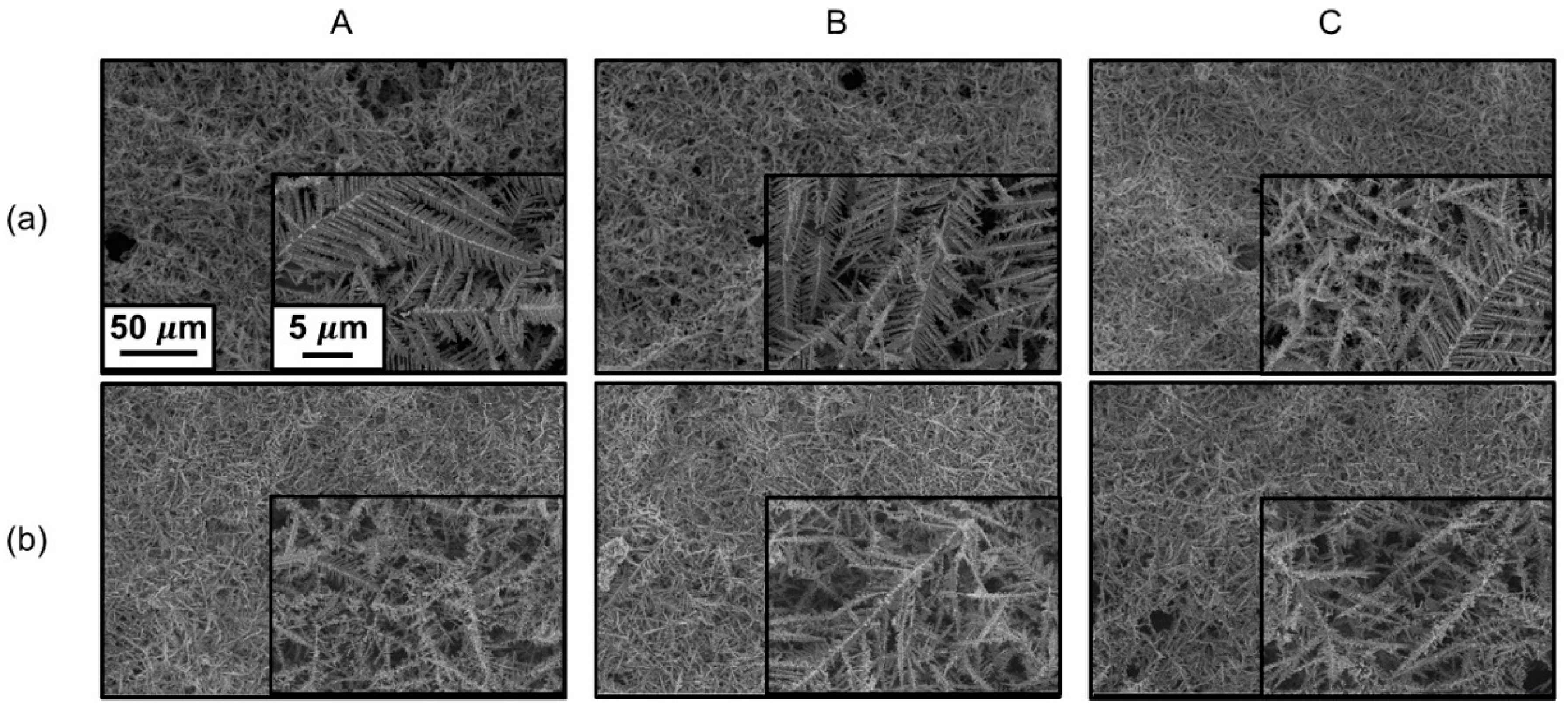 Coatings 10 00341 g006a
