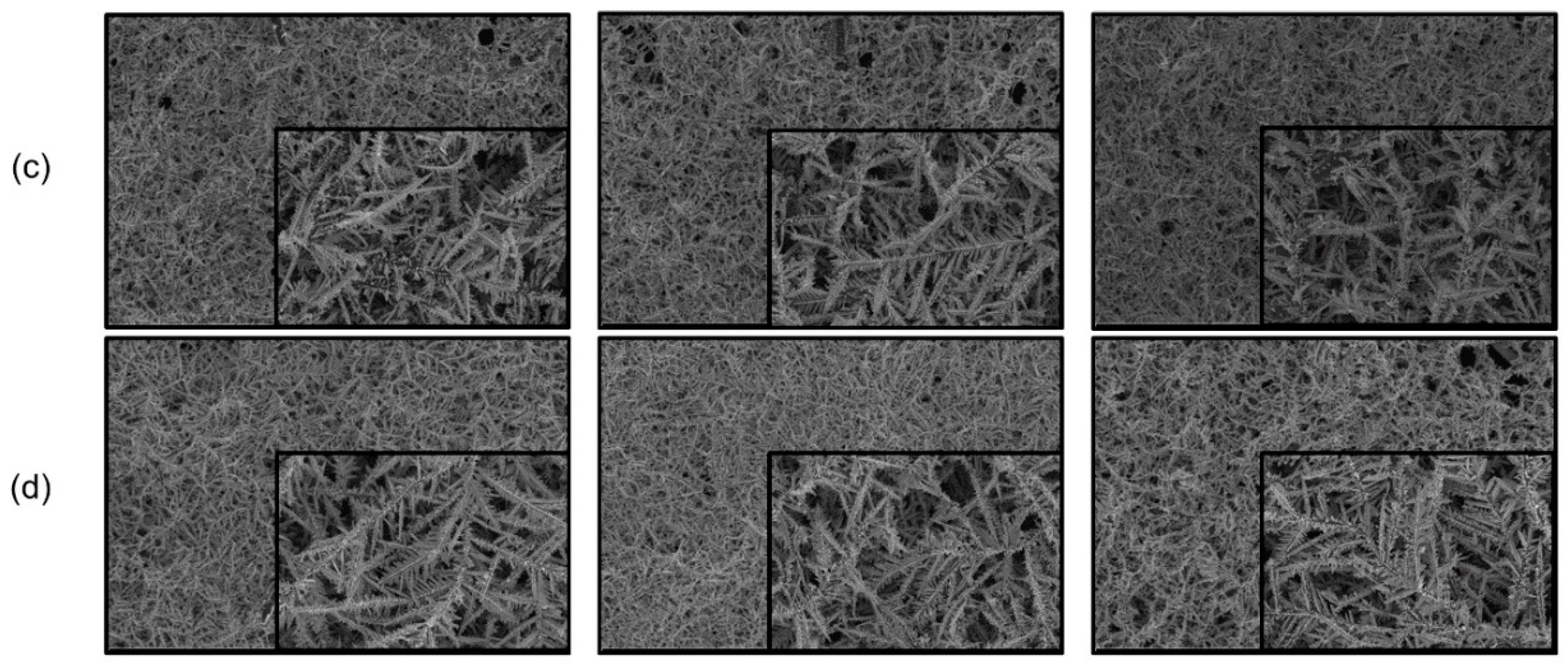 Coatings 10 00341 g006b
