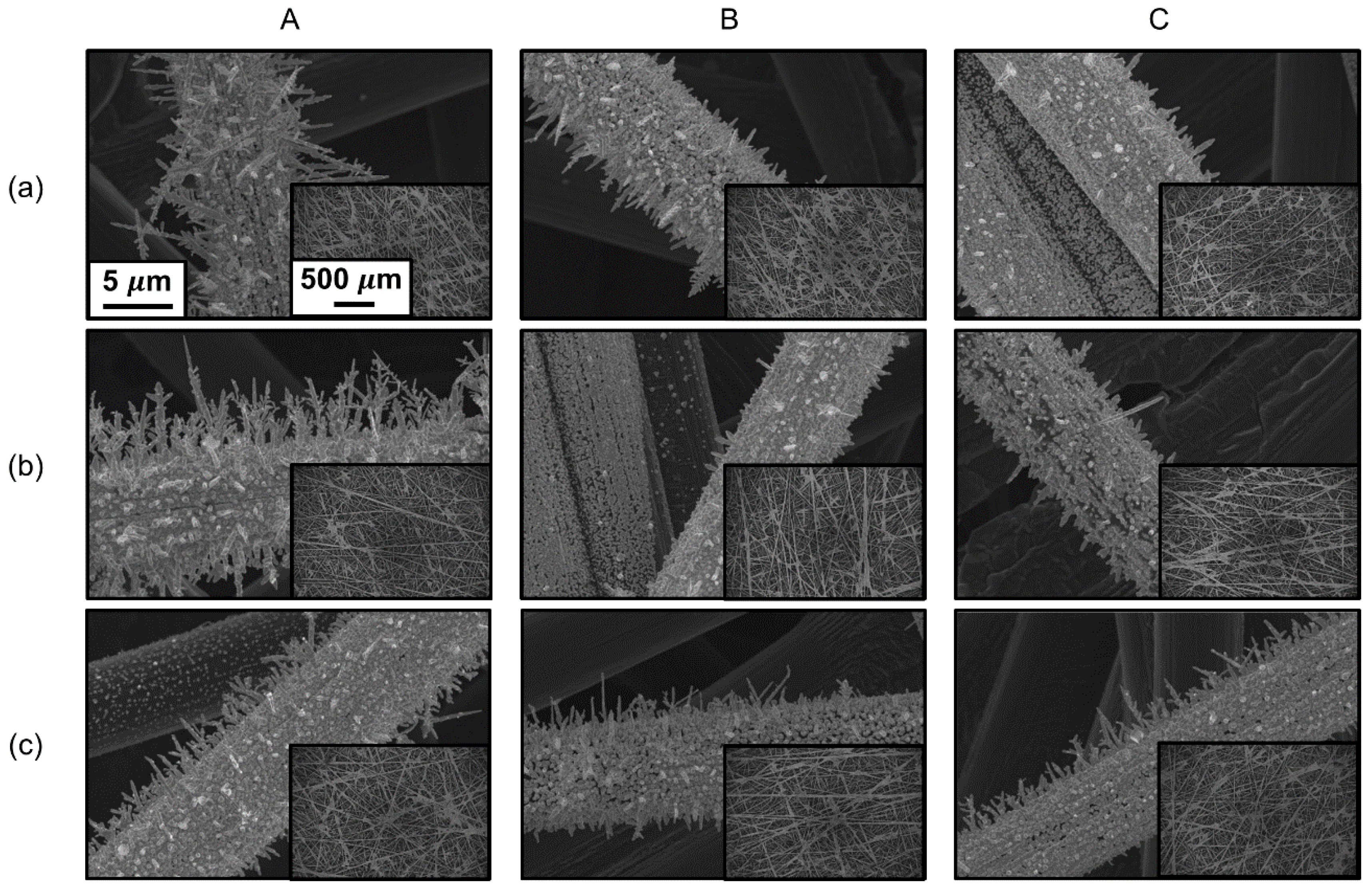 Coatings 10 00341 g008
