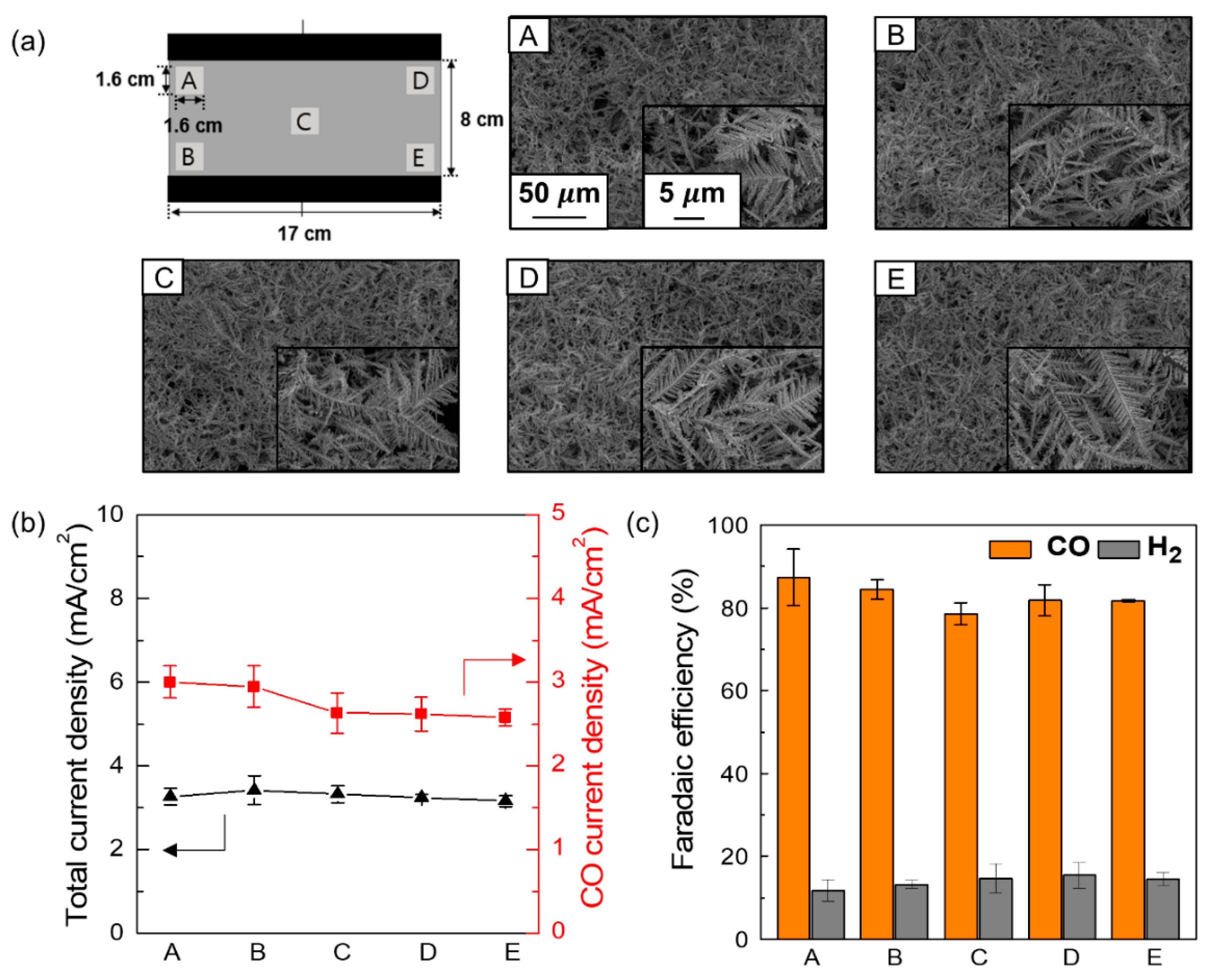 Coatings 10 00341 g009