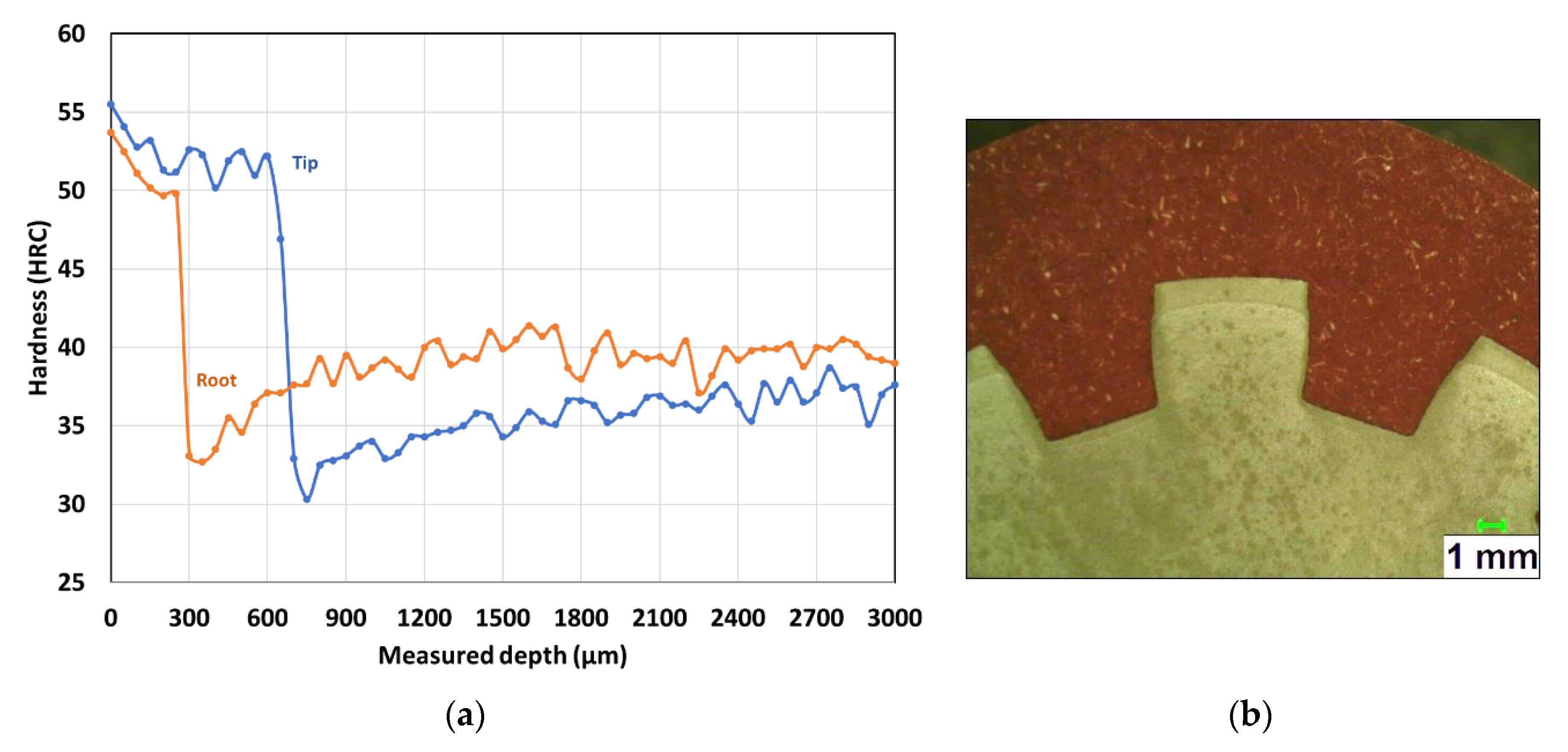 Coatings 10 00342 g003