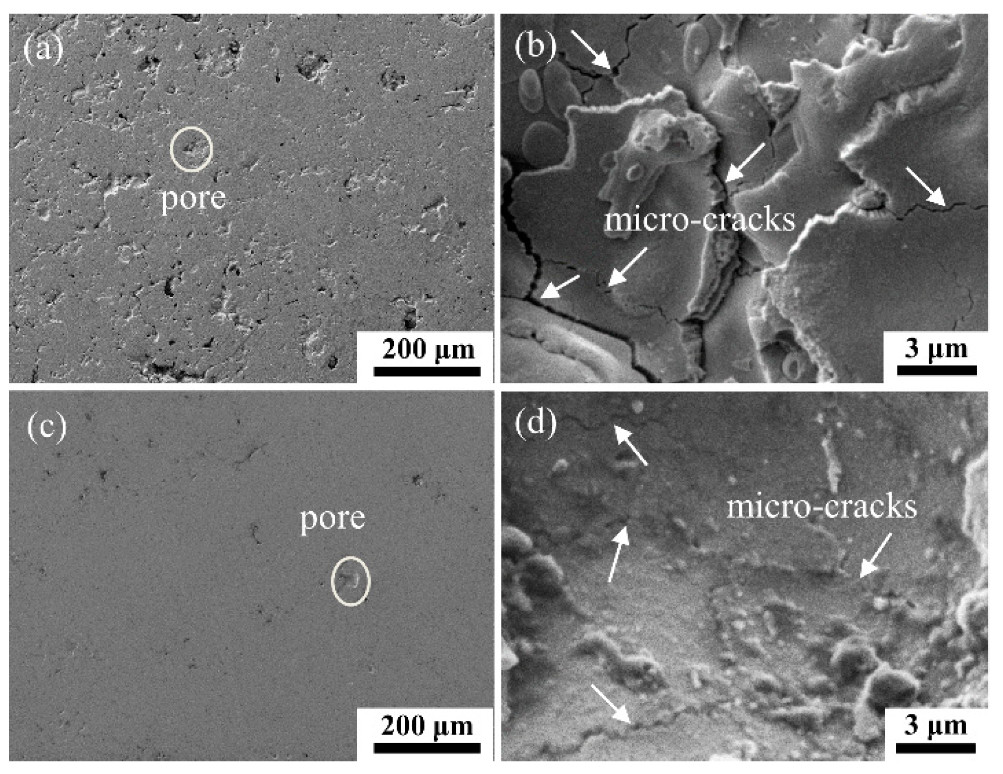 Coatings 10 00345 g001