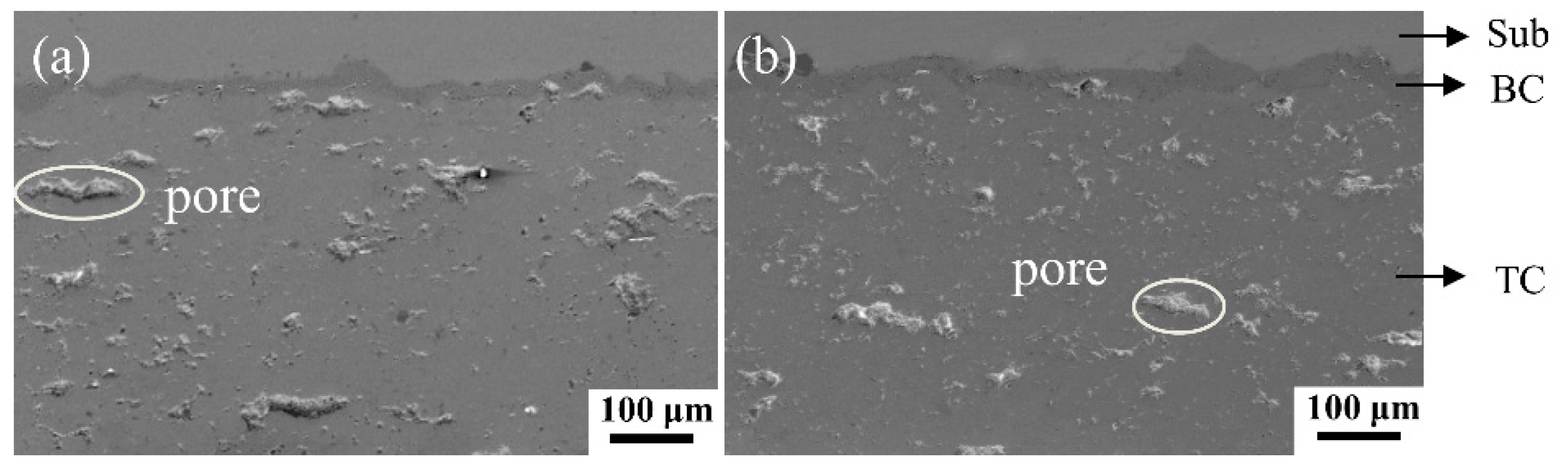 Coatings 10 00345 g002