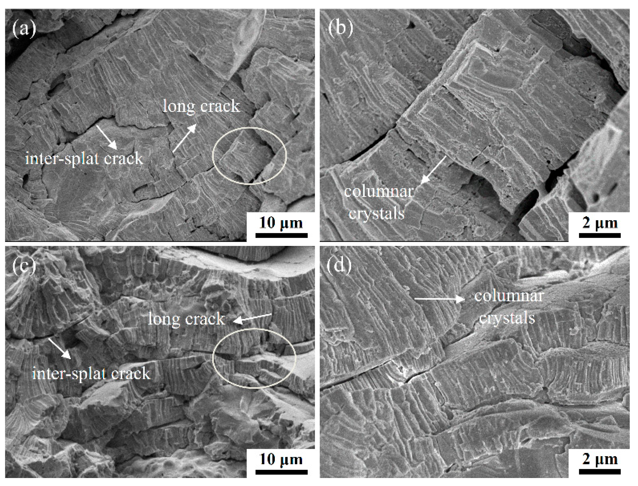 Coatings 10 00345 g003