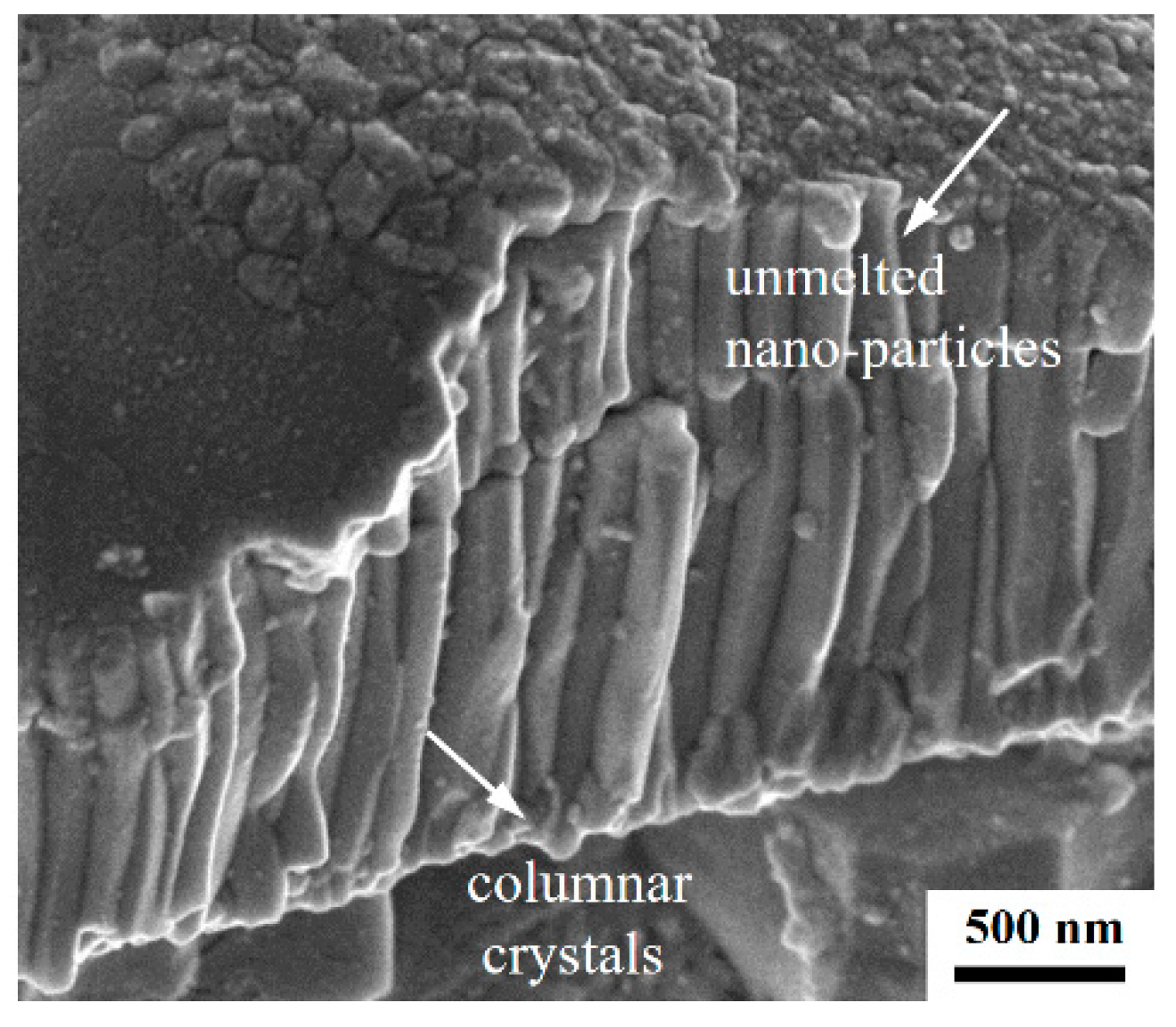 Coatings 10 00345 g004