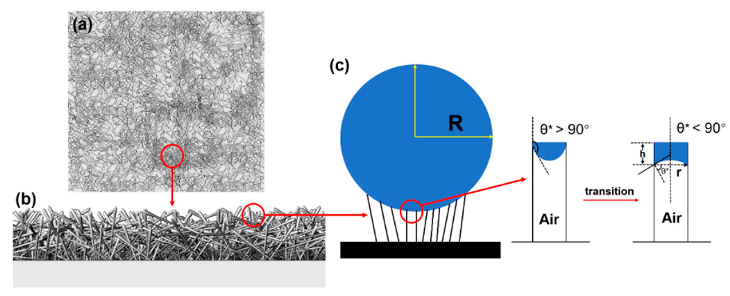 Coatings 10 00347 g005