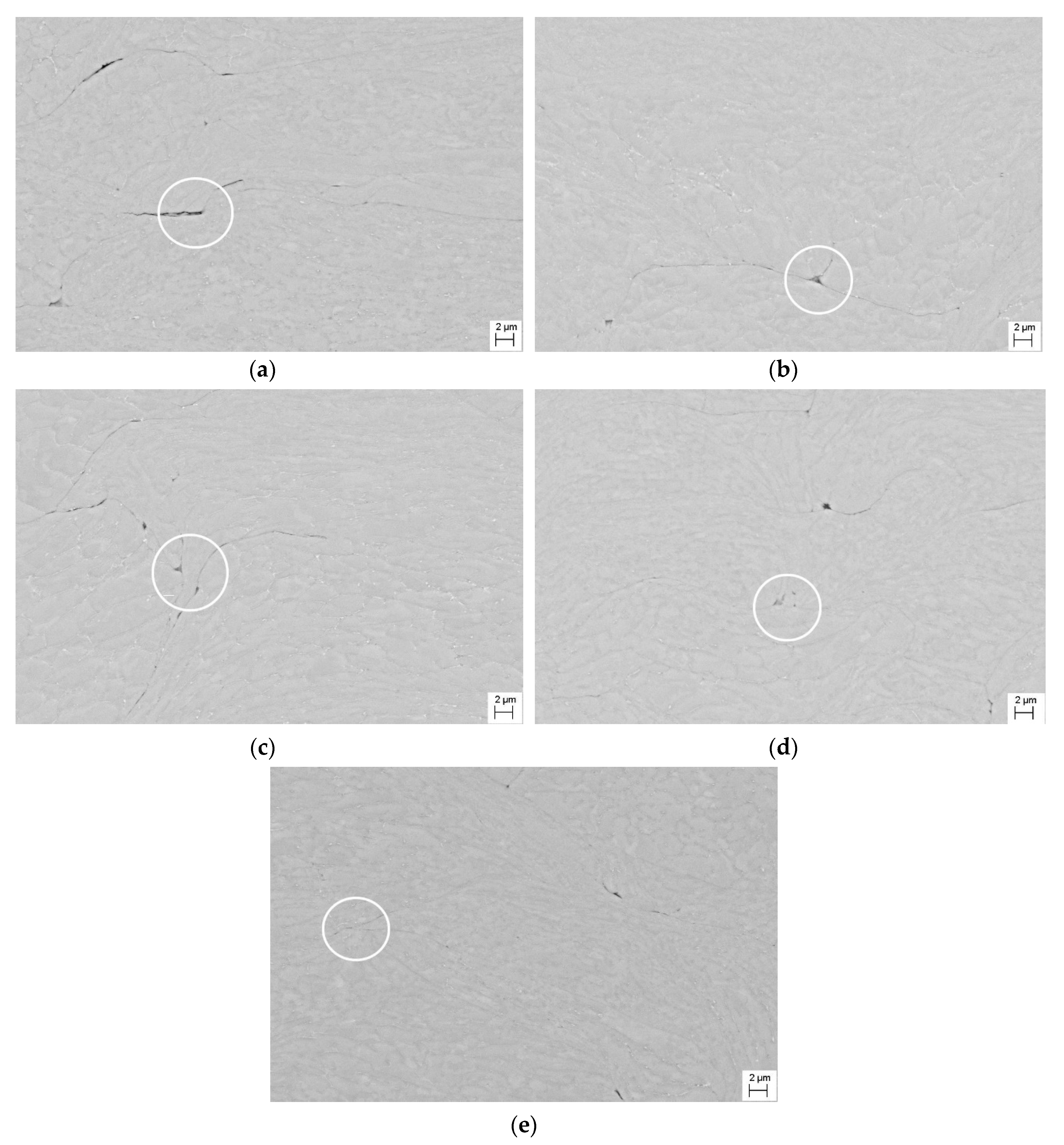 Coatings 10 00348 g008 Coatings 10 00348 g008