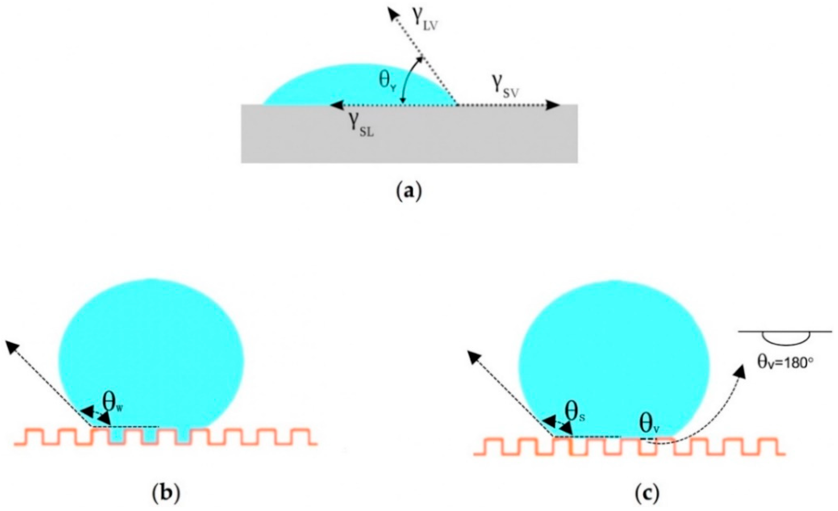 Coatings 10 00353 g002 Coatings 10 00353 g002
