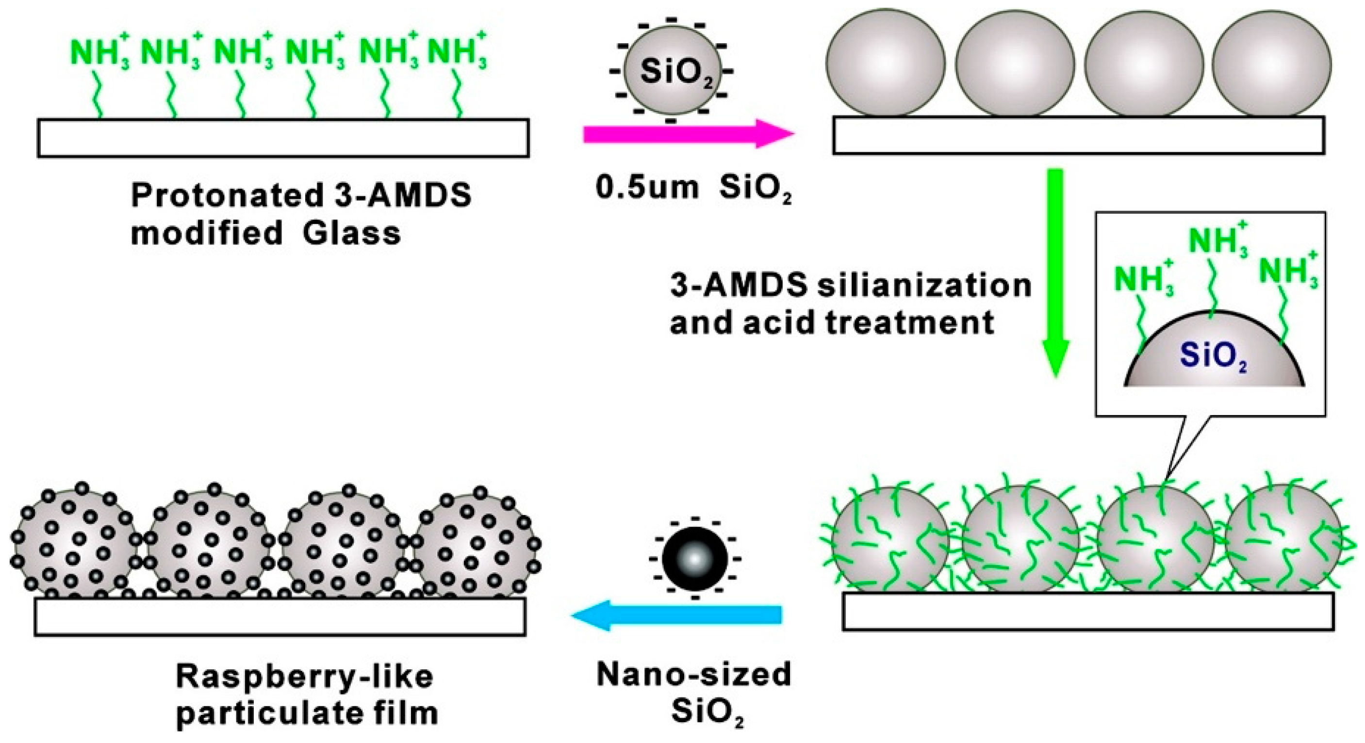Coatings 10 00353 g004 Coatings 10 00353 g004