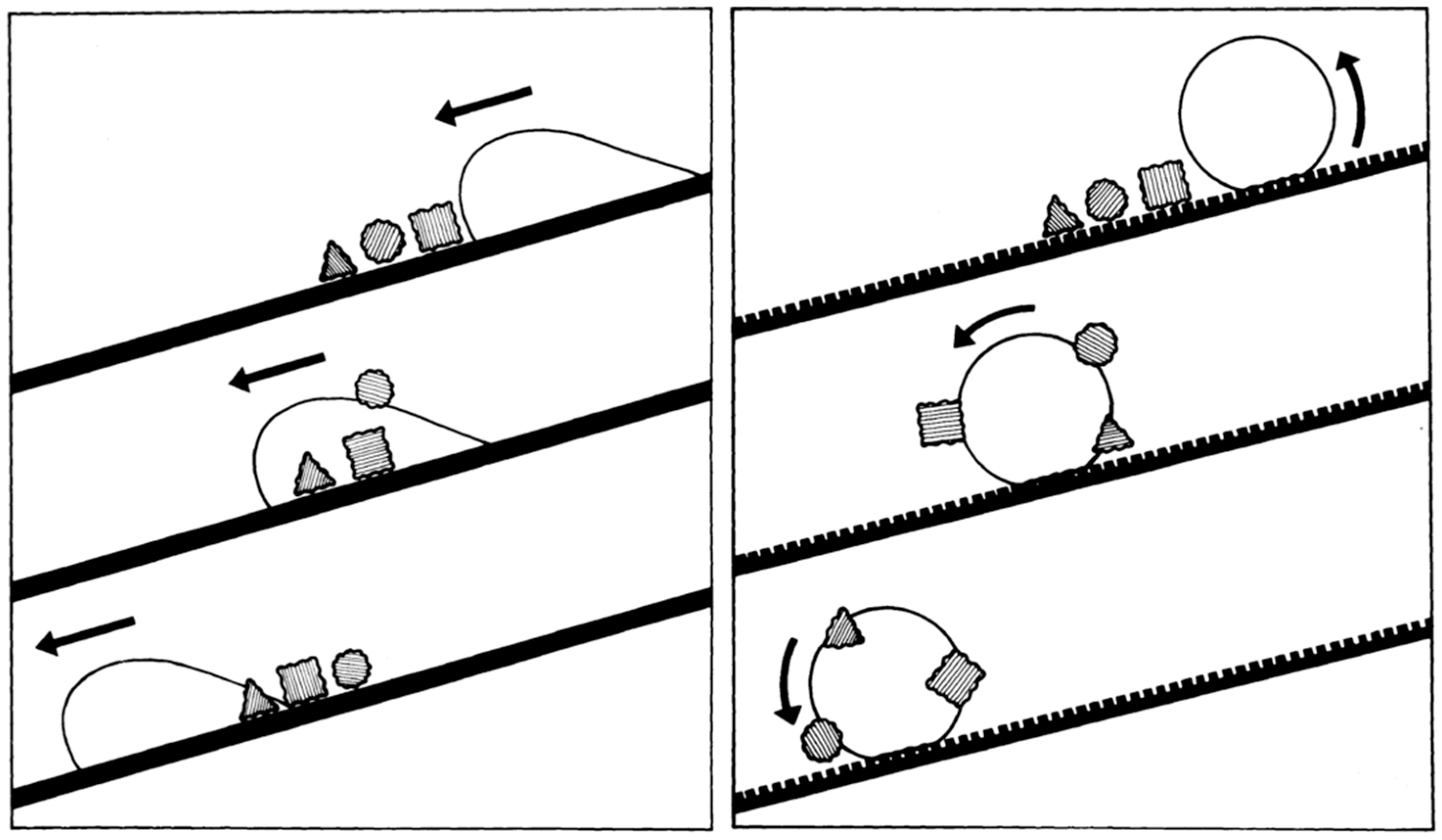 Coatings 10 00353 g005 Coatings 10 00353 g005