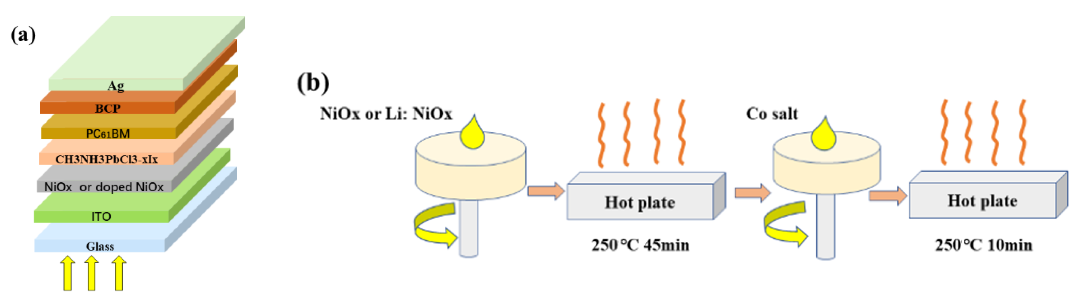 Coatings 10 00354 g001