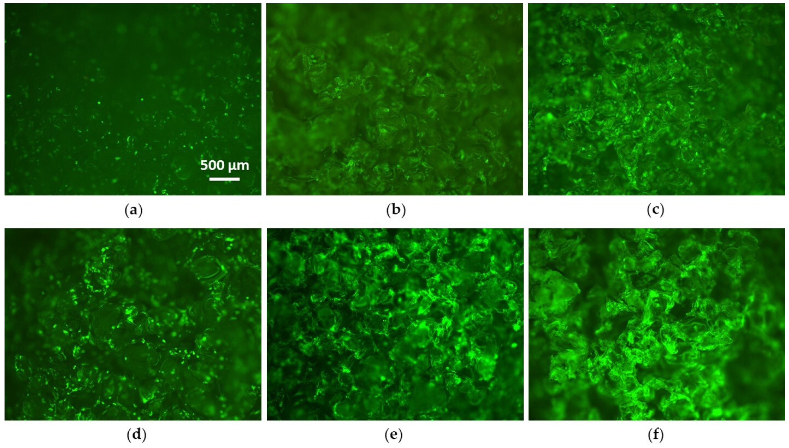 Coatings 10 00356 g008 Coatings 10 00356 g008