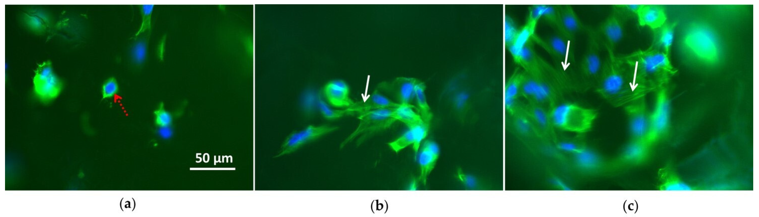 Coatings 10 00356 g009 Coatings 10 00356 g009