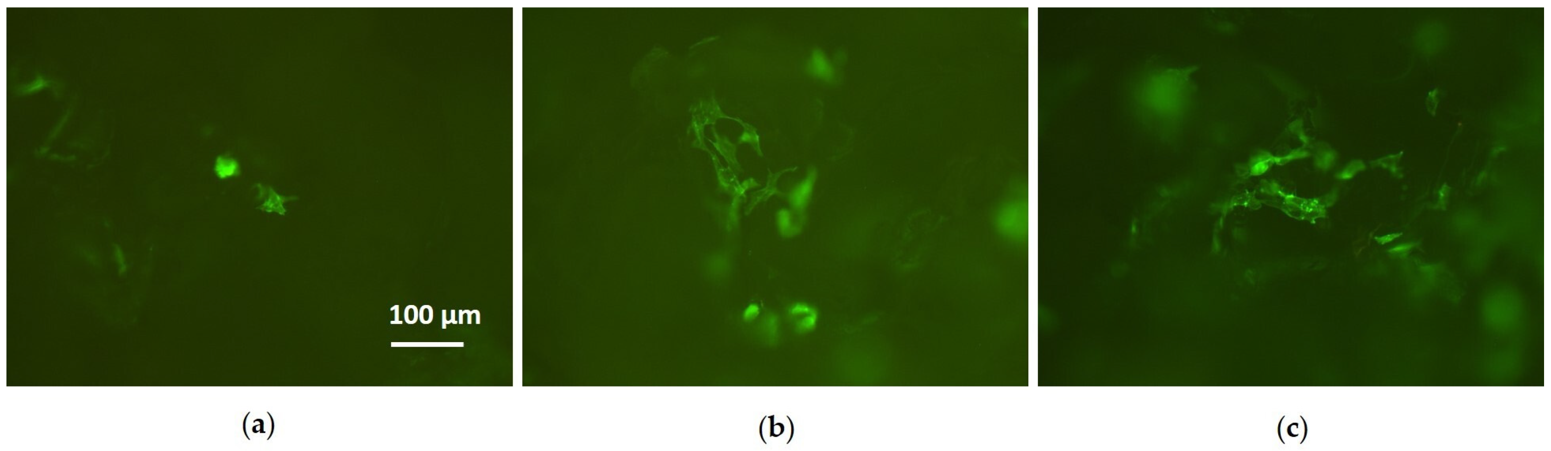 Coatings 10 00356 g010 Coatings 10 00356 g010