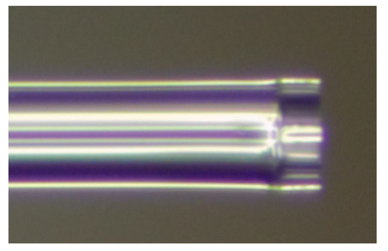 Coatings 10 00358 g004