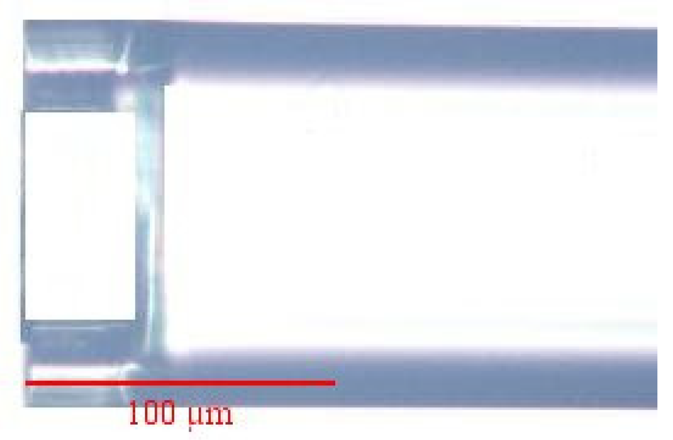 Coatings 10 00358 g005