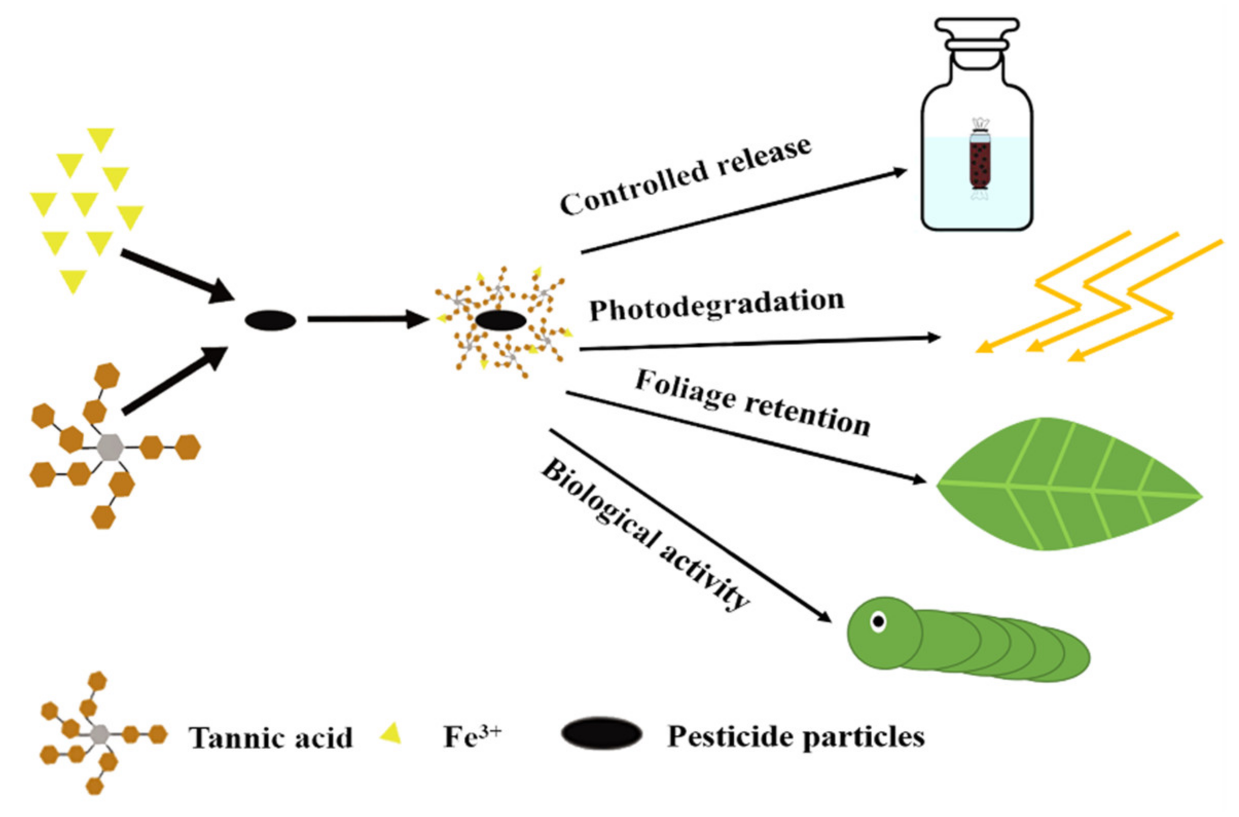 Coatings 10 00359 sch002 Coatings 10 00359 sch002