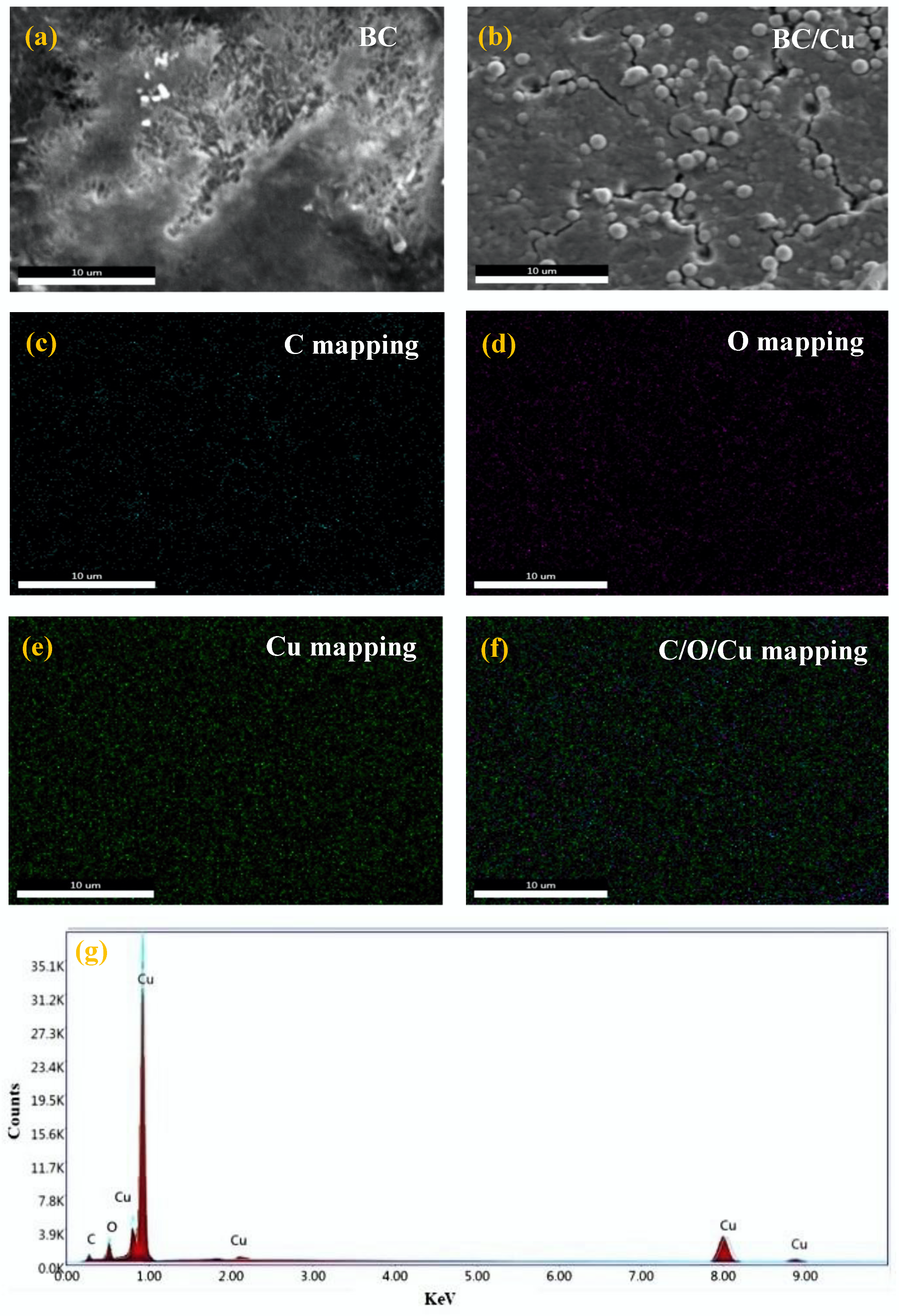 Coatings 10 00364 g005 Coatings 10 00364 g005