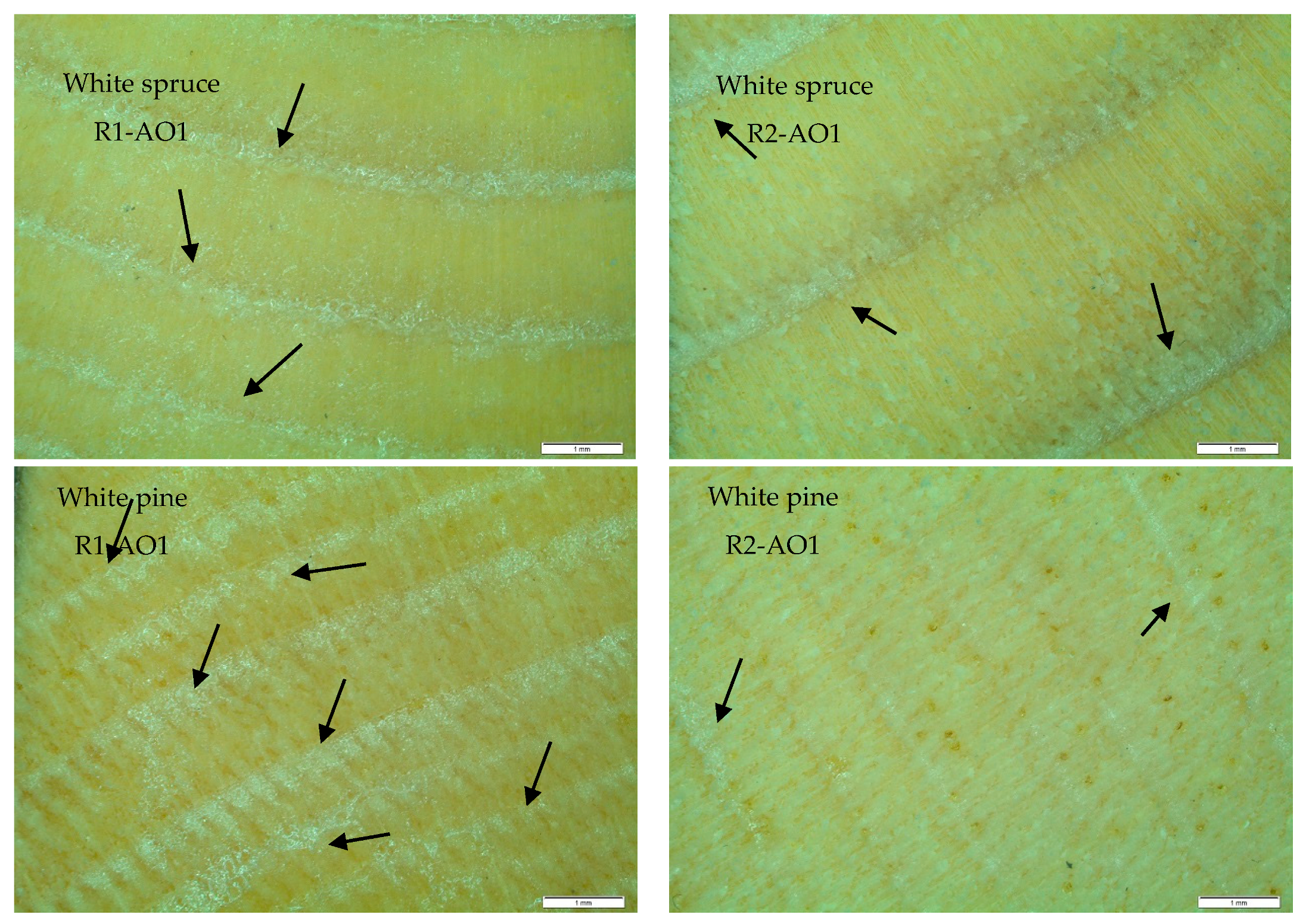 Coatings 10 00366 g005 Coatings 10 00366 g005