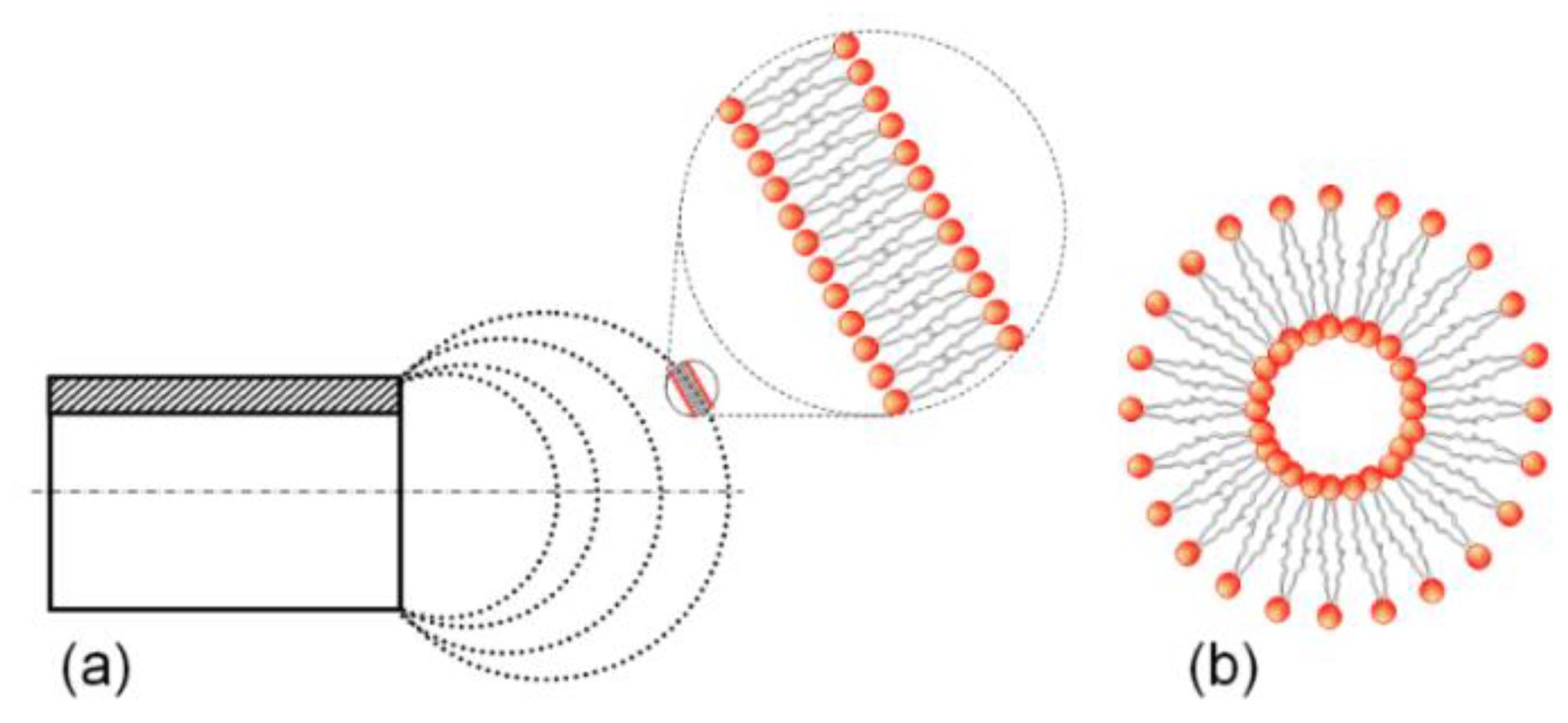 Coatings 10 00368 g001