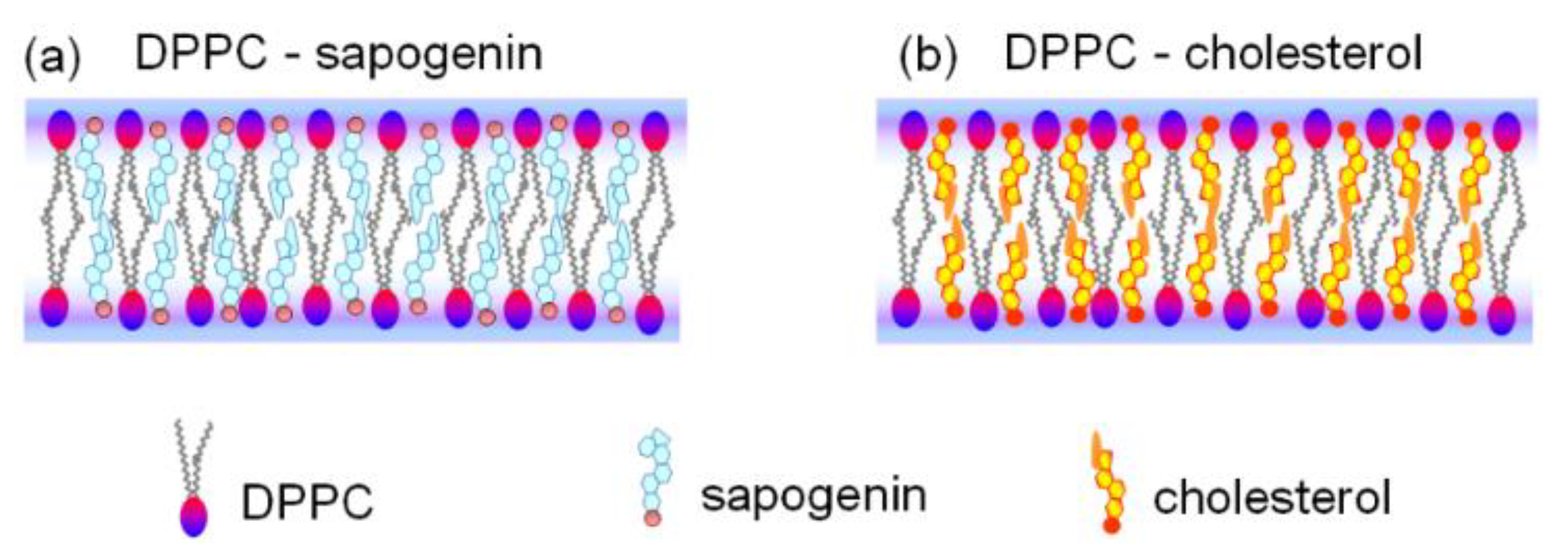 Coatings 10 00368 g007