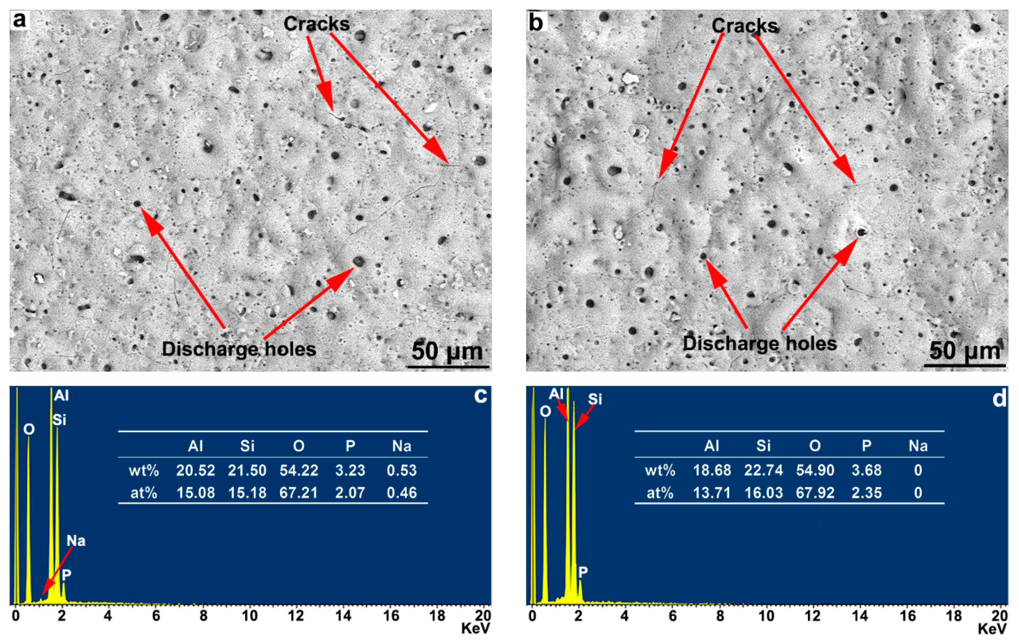 Coatings 10 00374 g006 Coatings 10 00374 g006
