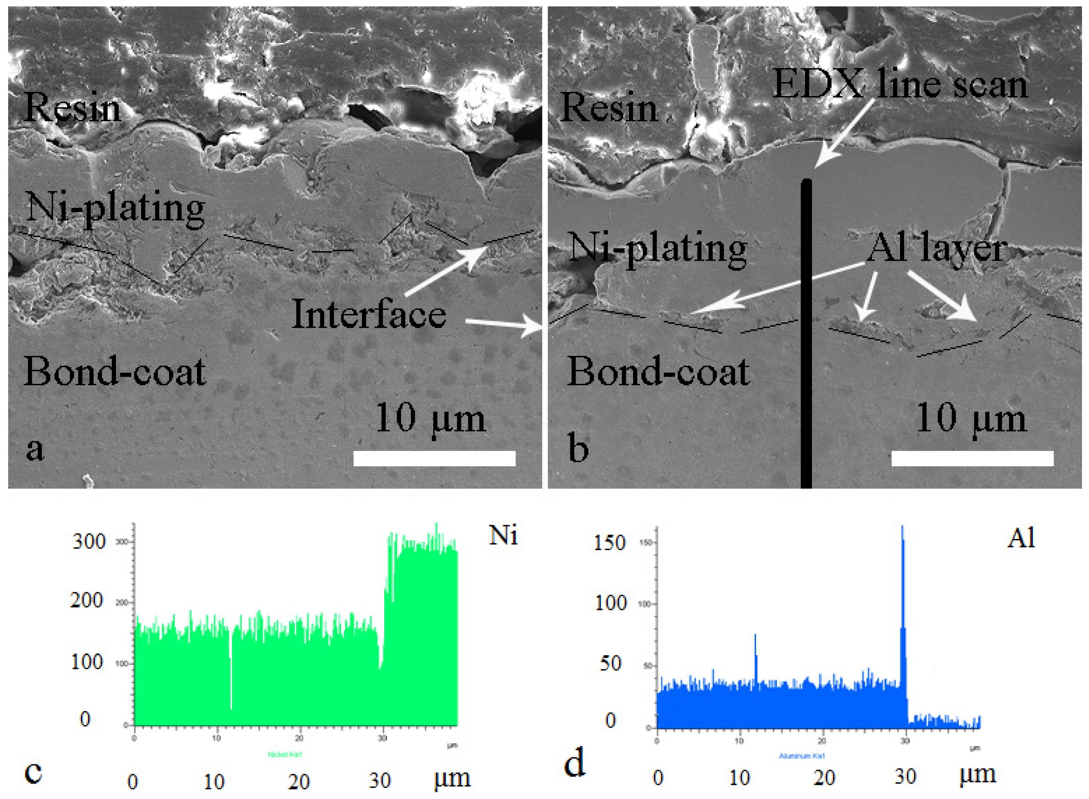 Coatings 10 00376 g002