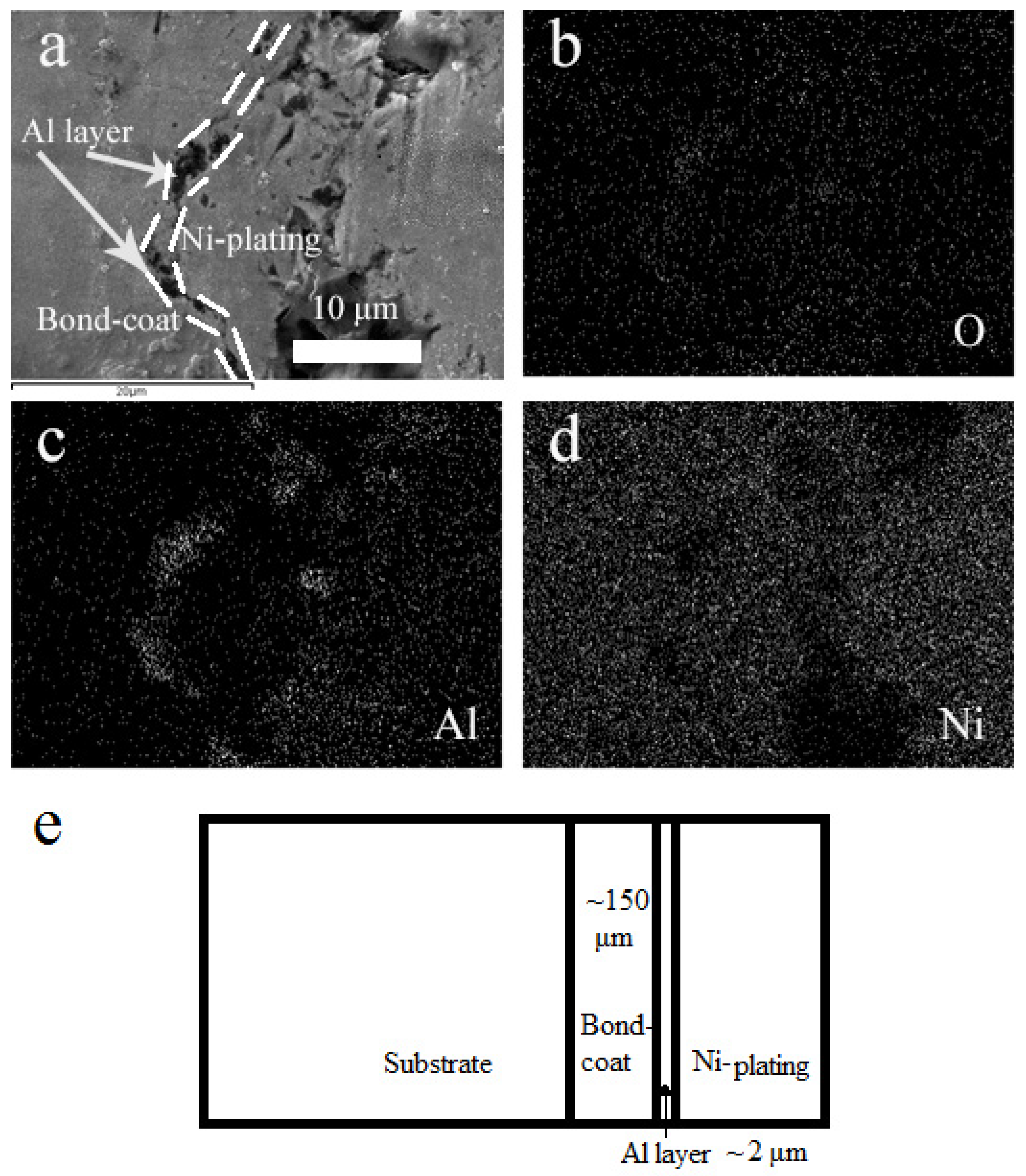 Coatings 10 00376 g003