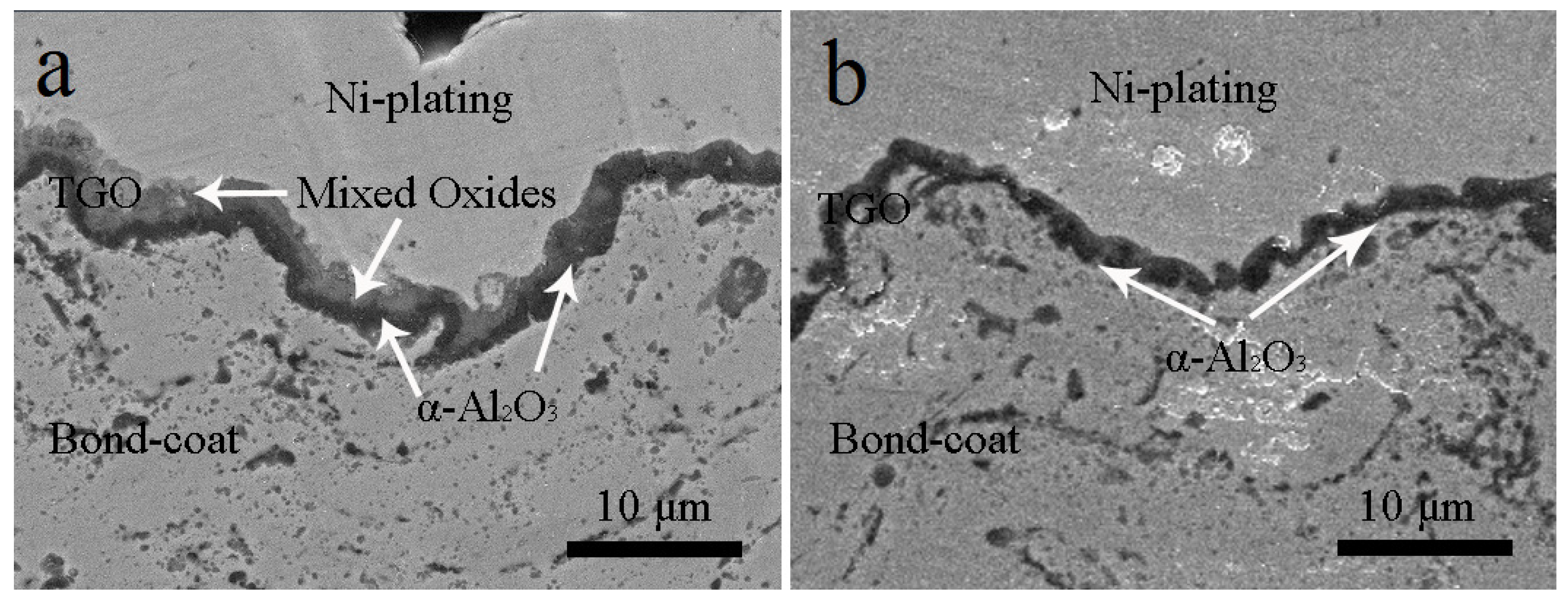 Coatings 10 00376 g006