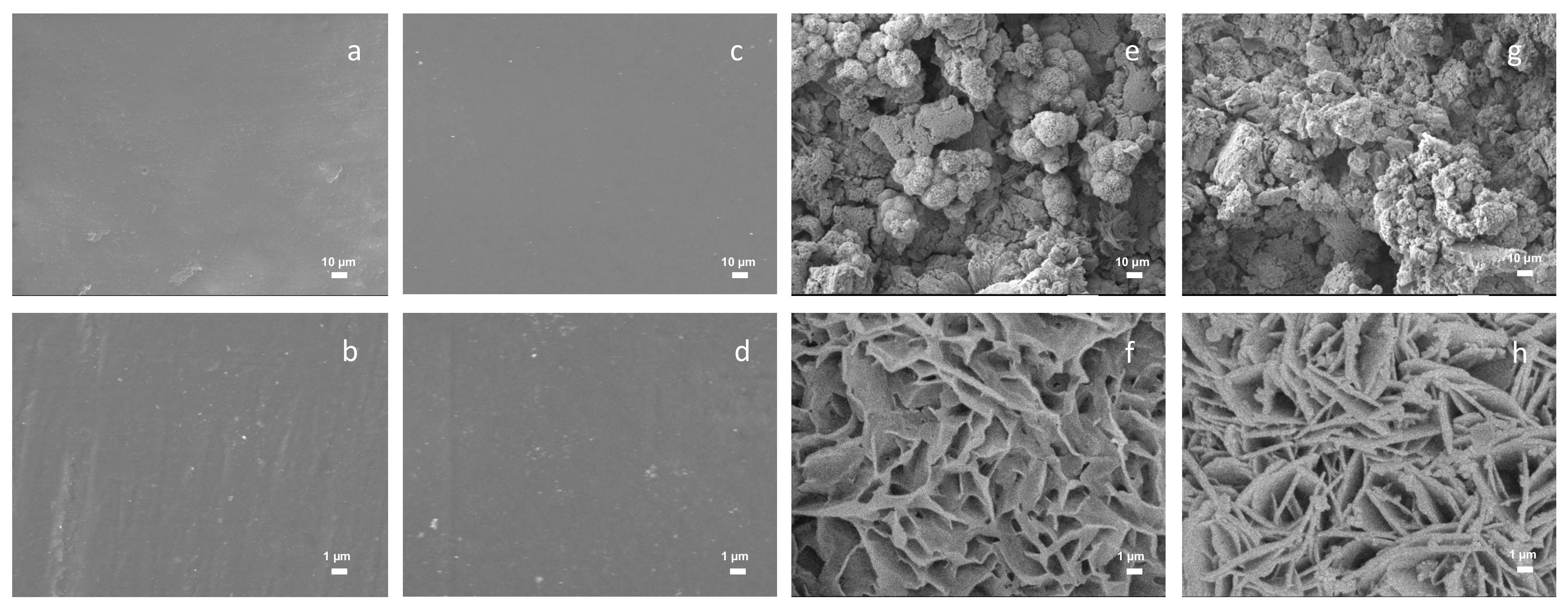 Coatings 10 00377 g005 Coatings 10 00377 g005