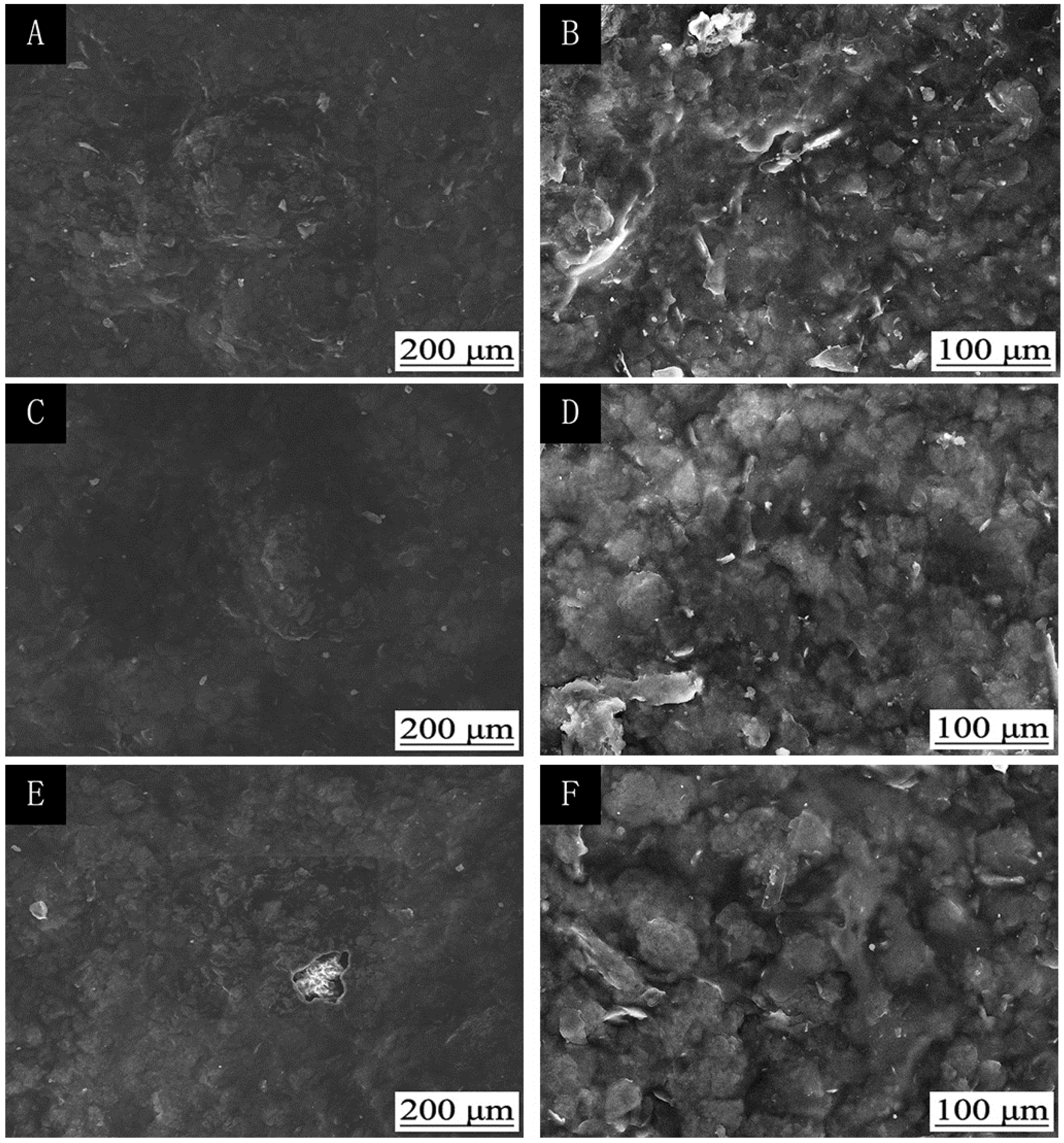 Coatings 10 00382 g003