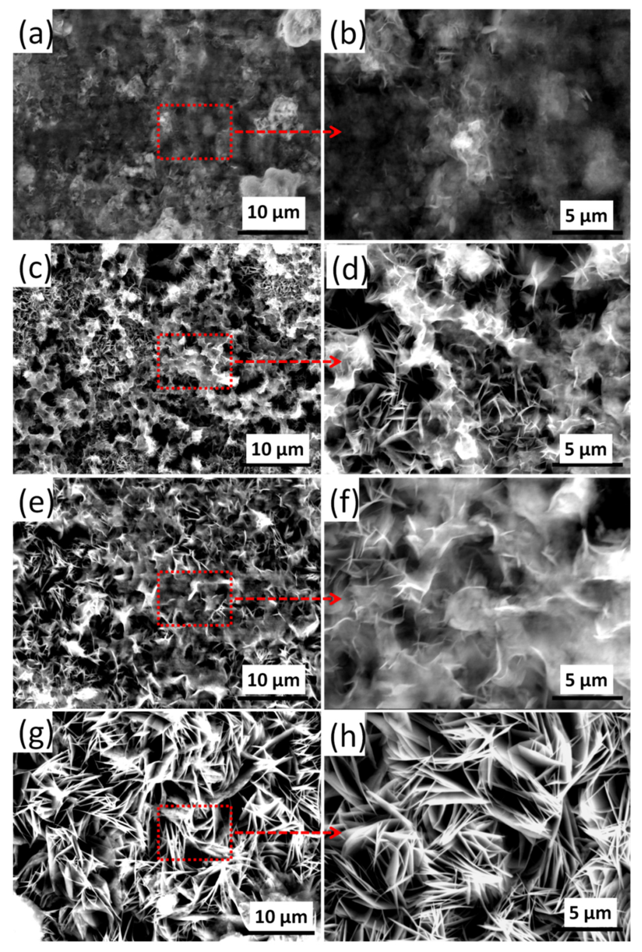 Coatings 10 00384 g003 Coatings 10 00384 g003