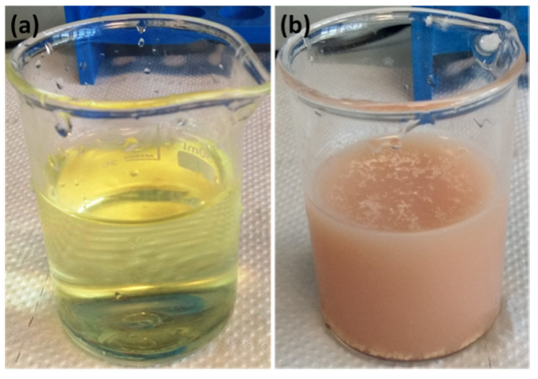 Coatings 10 00384 g008 Coatings 10 00384 g008