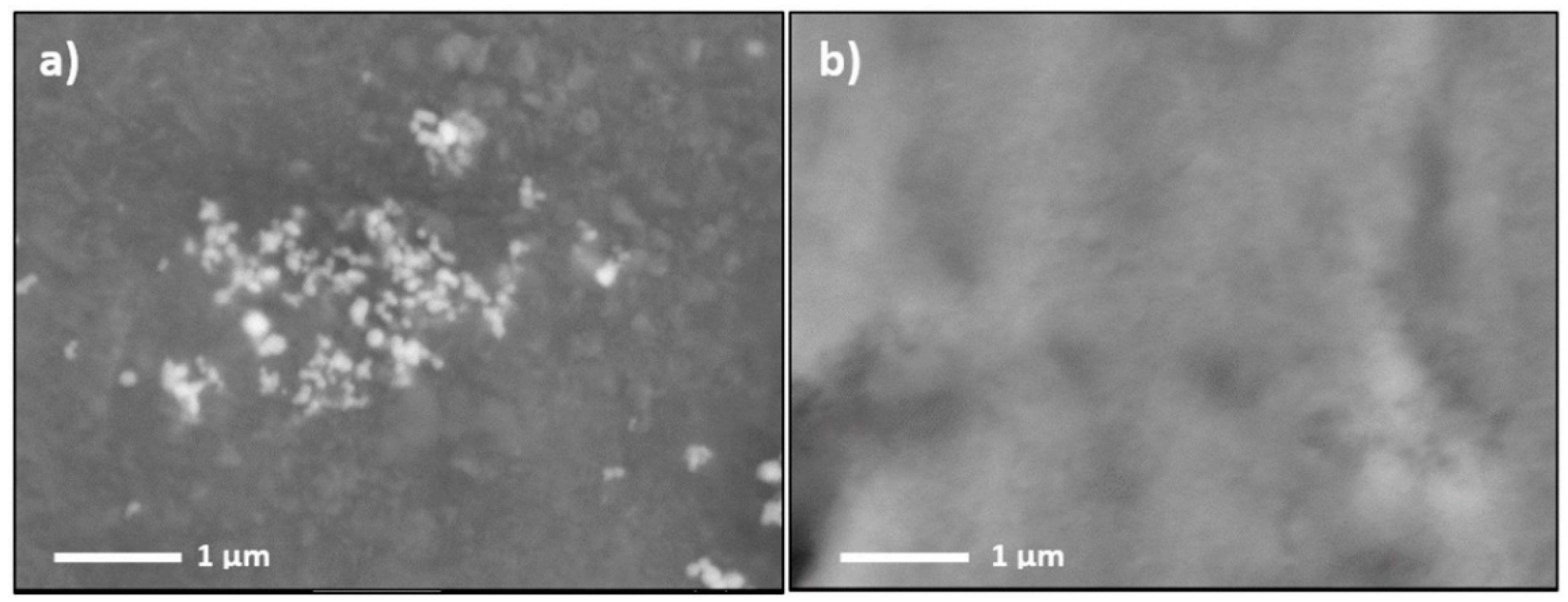 Coatings 10 00385 g004 Coatings 10 00385 g004