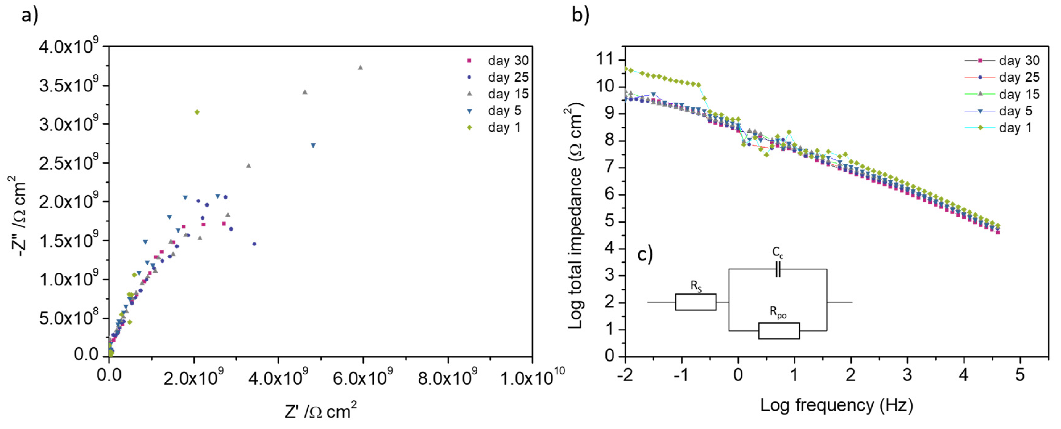 Coatings 10 00387 g007