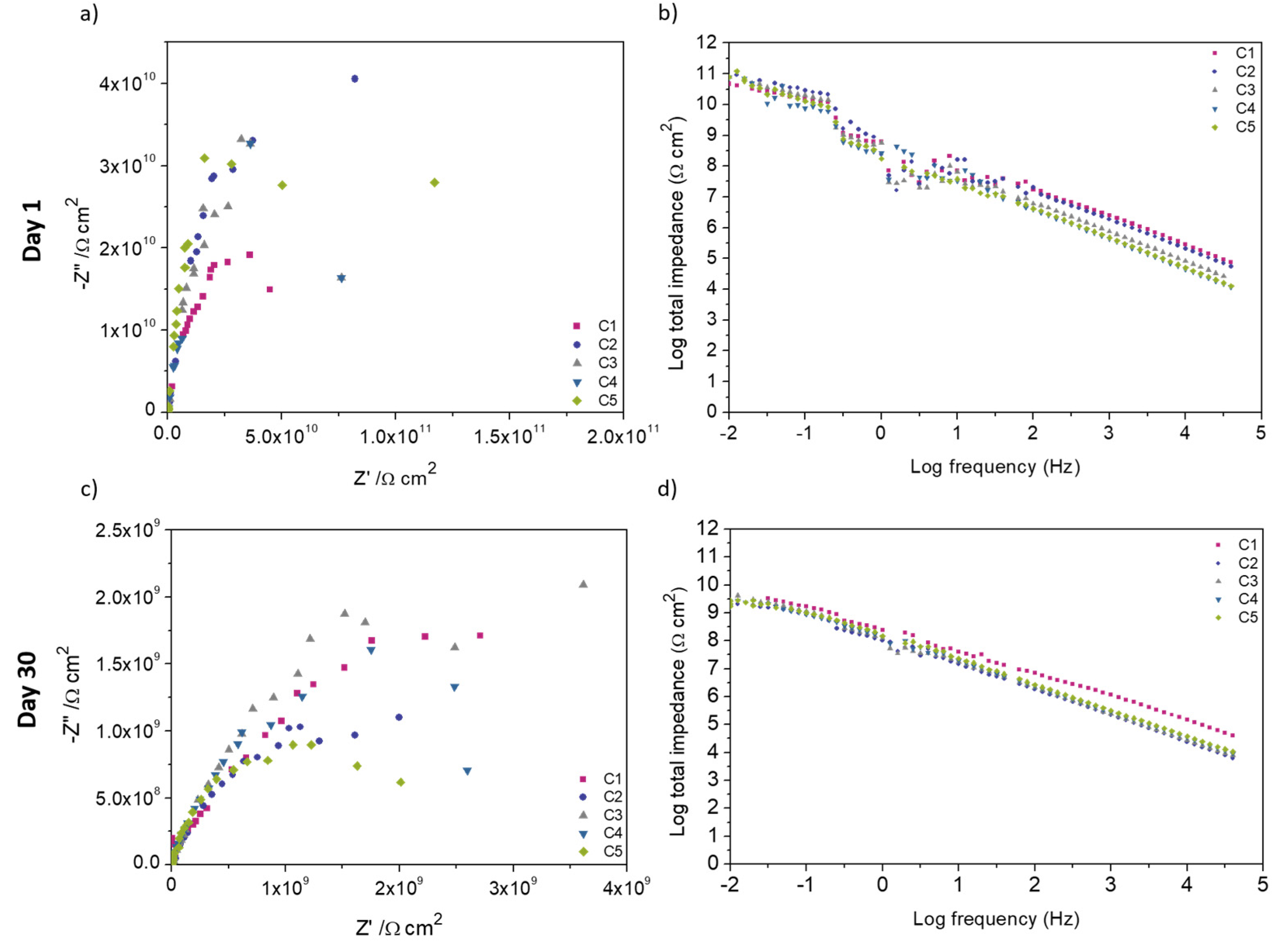 Coatings 10 00387 g008