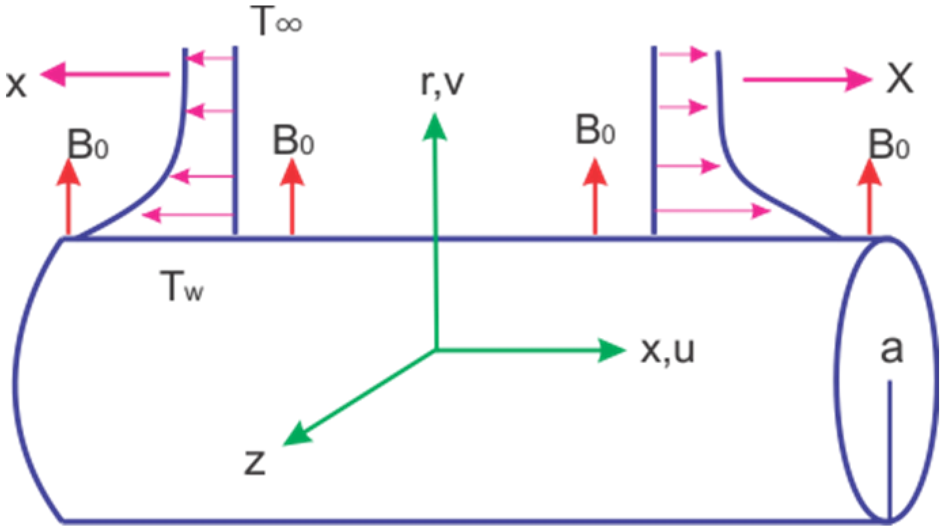 Coatings 10 00391 g001