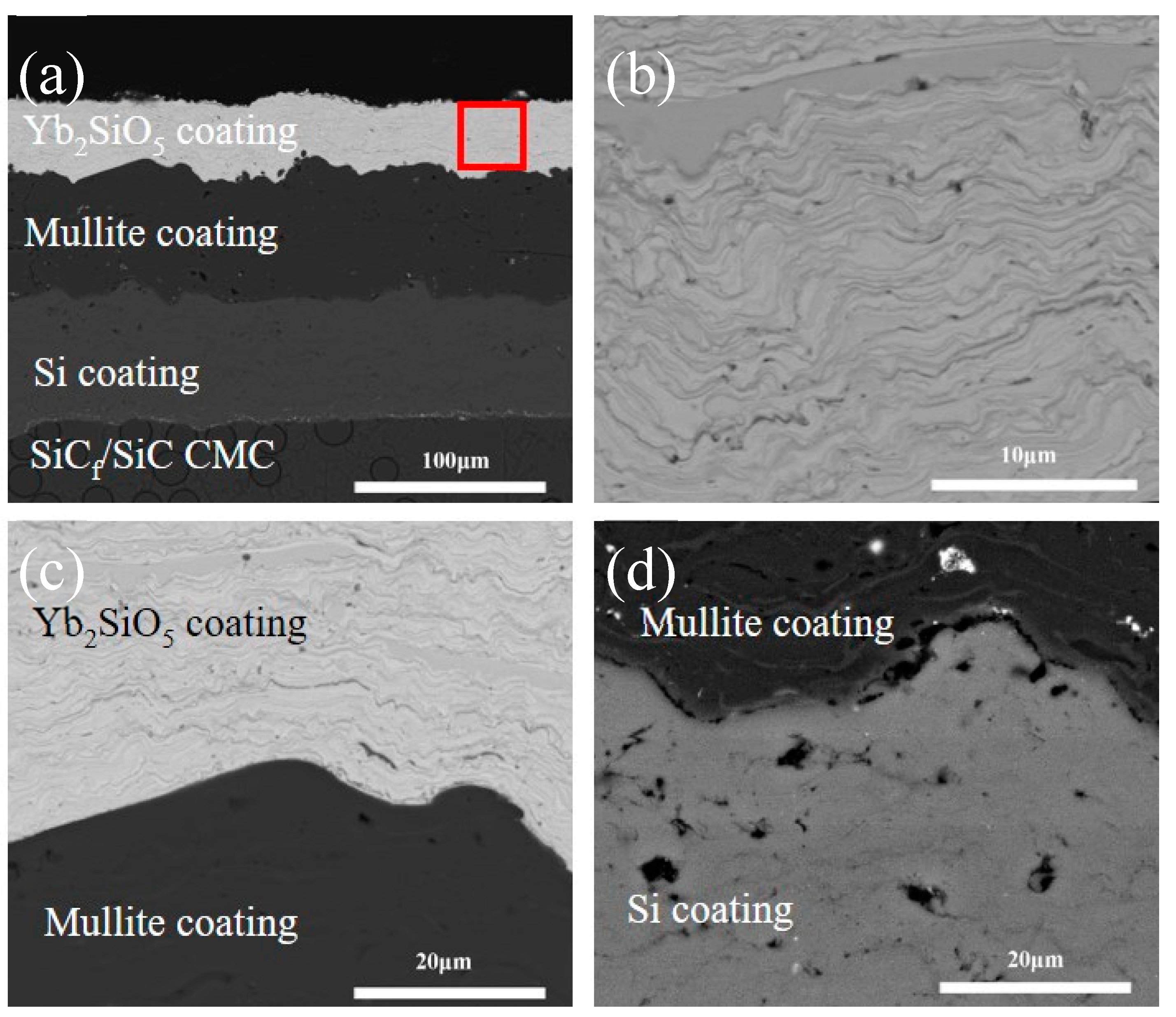 Coatings 10 00392 g003