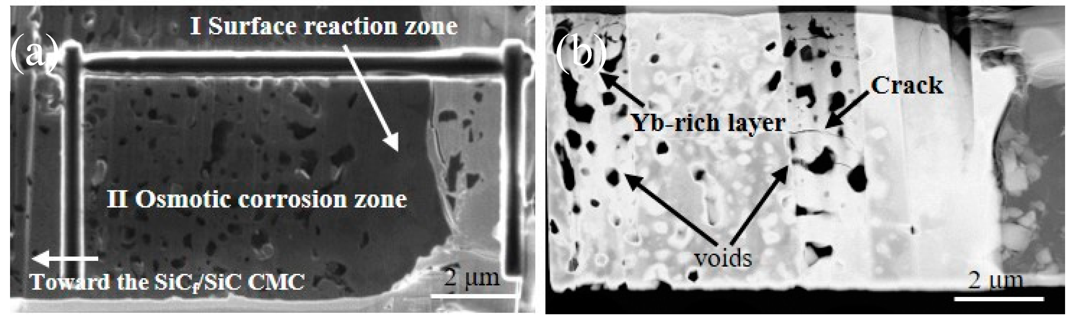 Coatings 10 00392 g010
