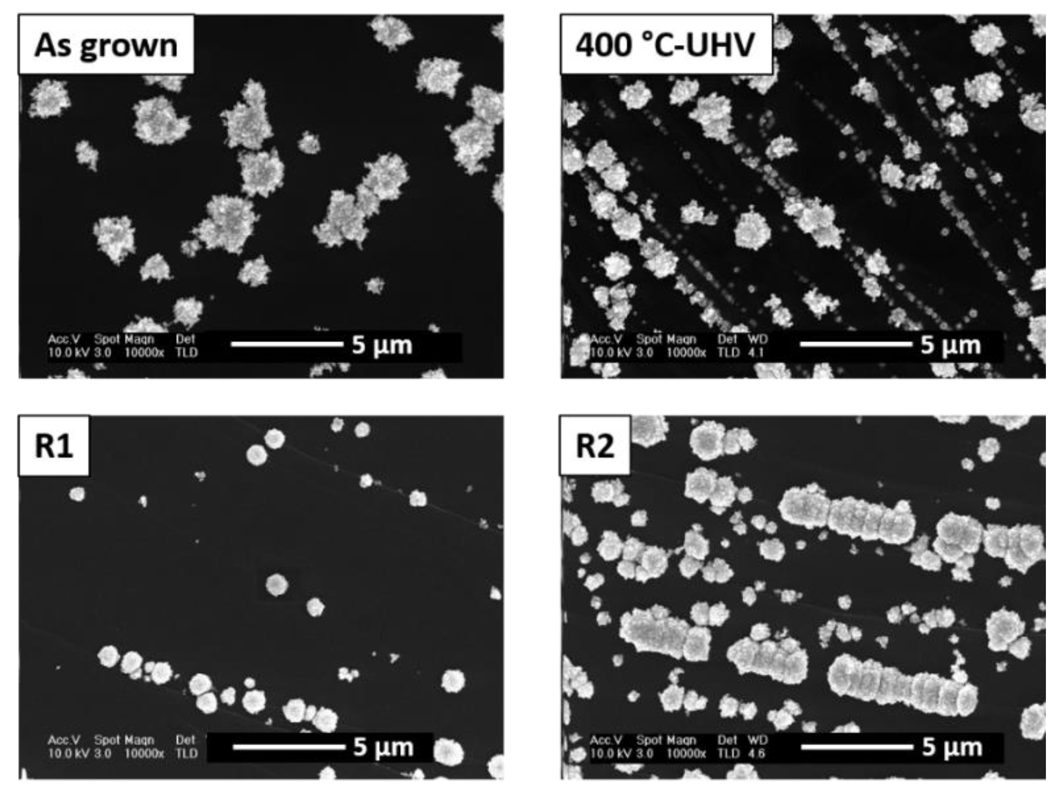 Coatings 10 00401 g005 Coatings 10 00401 g005